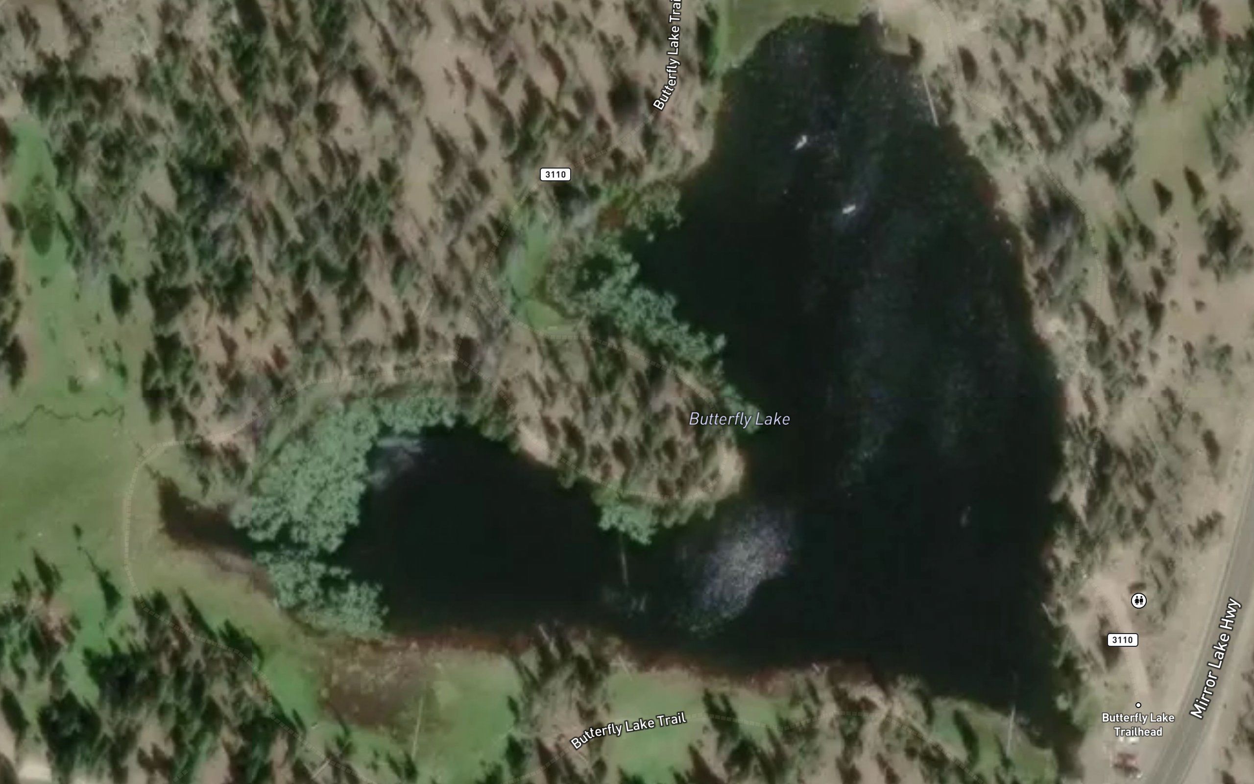 Butterfly Lake