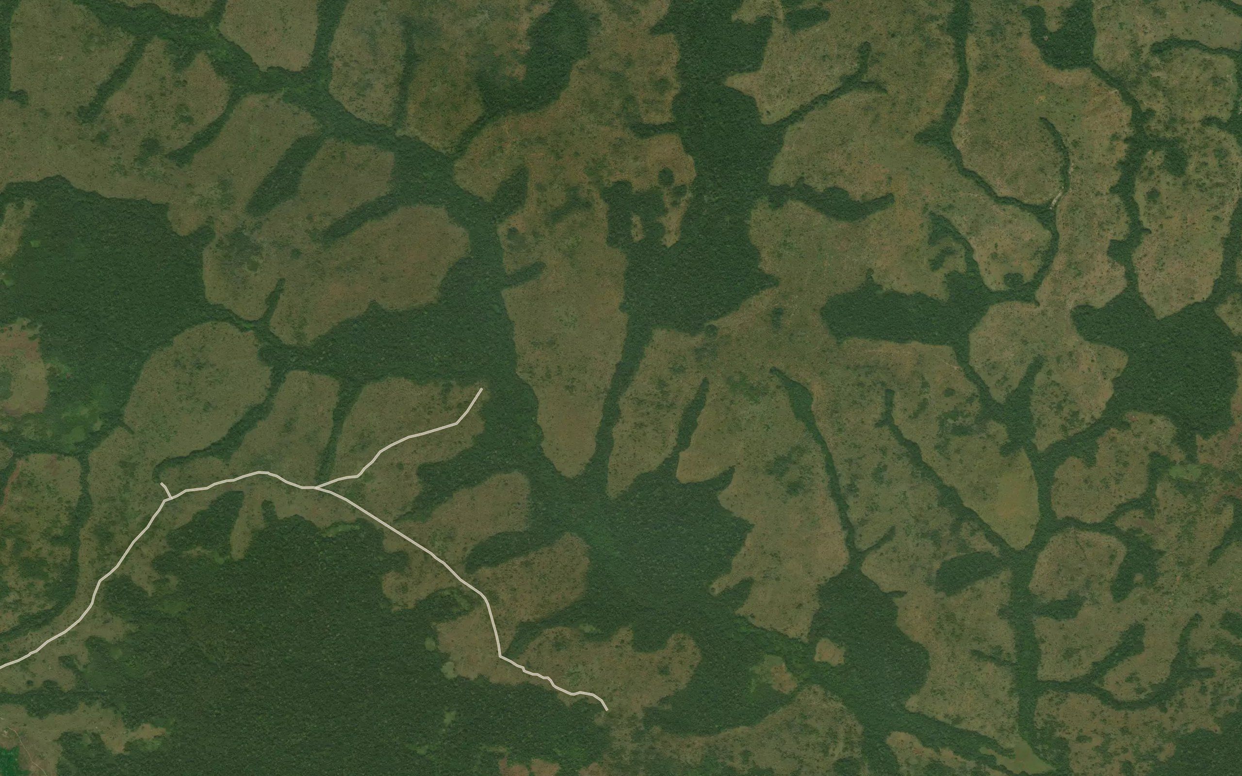 Bilikogo