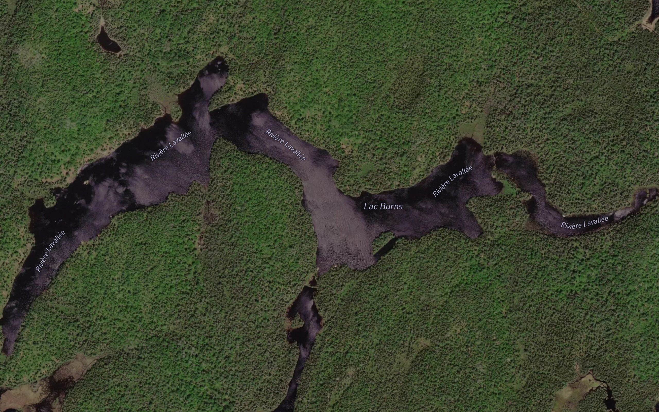 Lac Burns