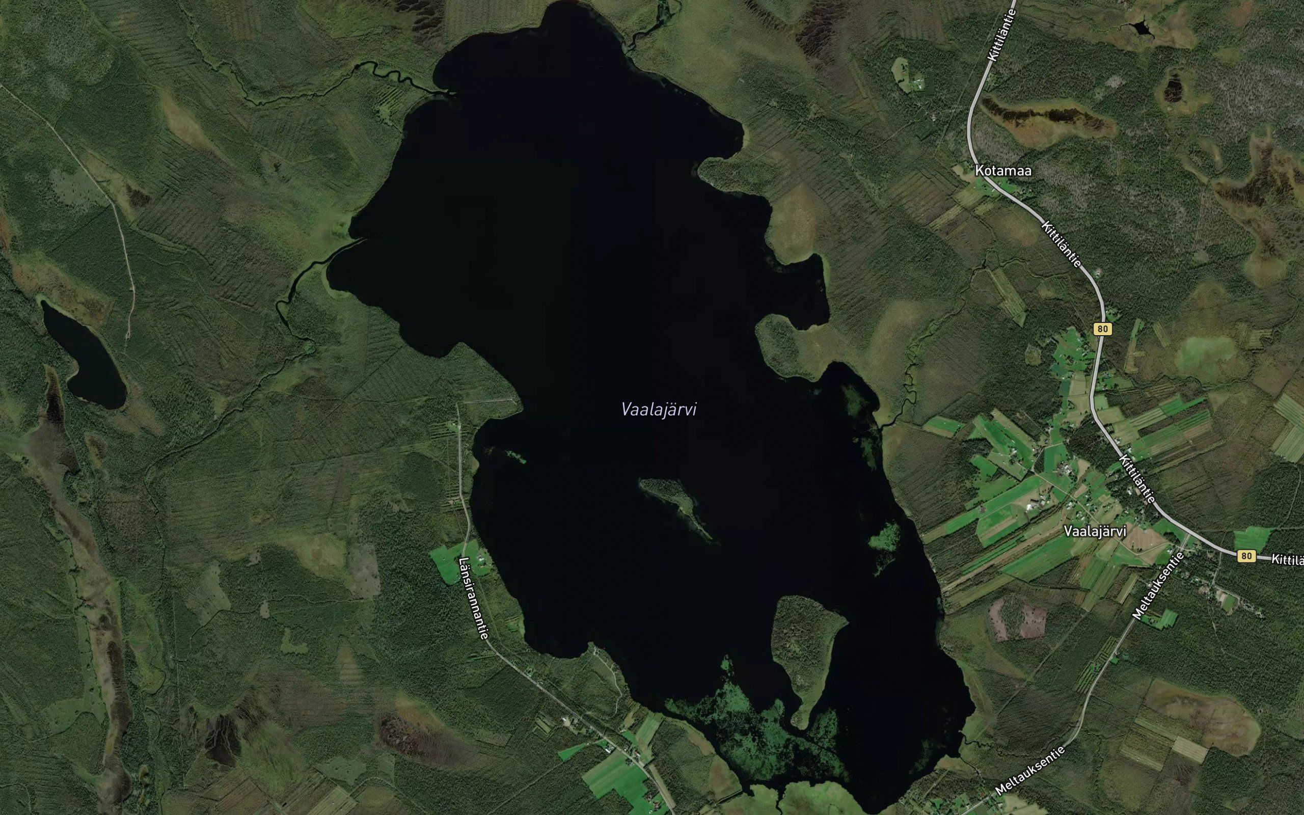 Hanhijoki