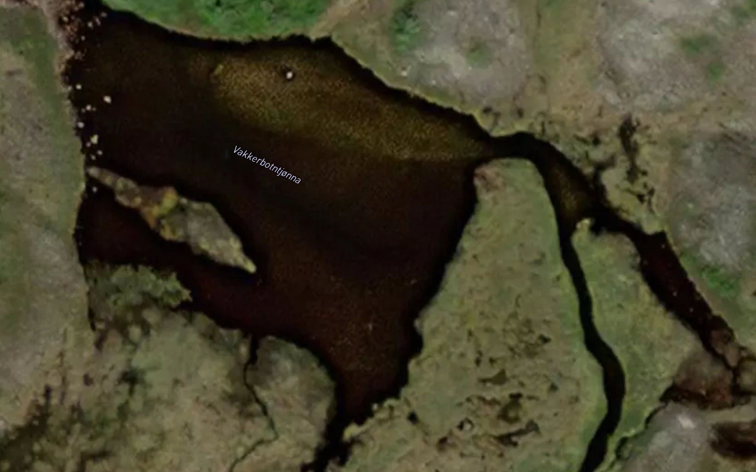 Vakkerbotntjorna