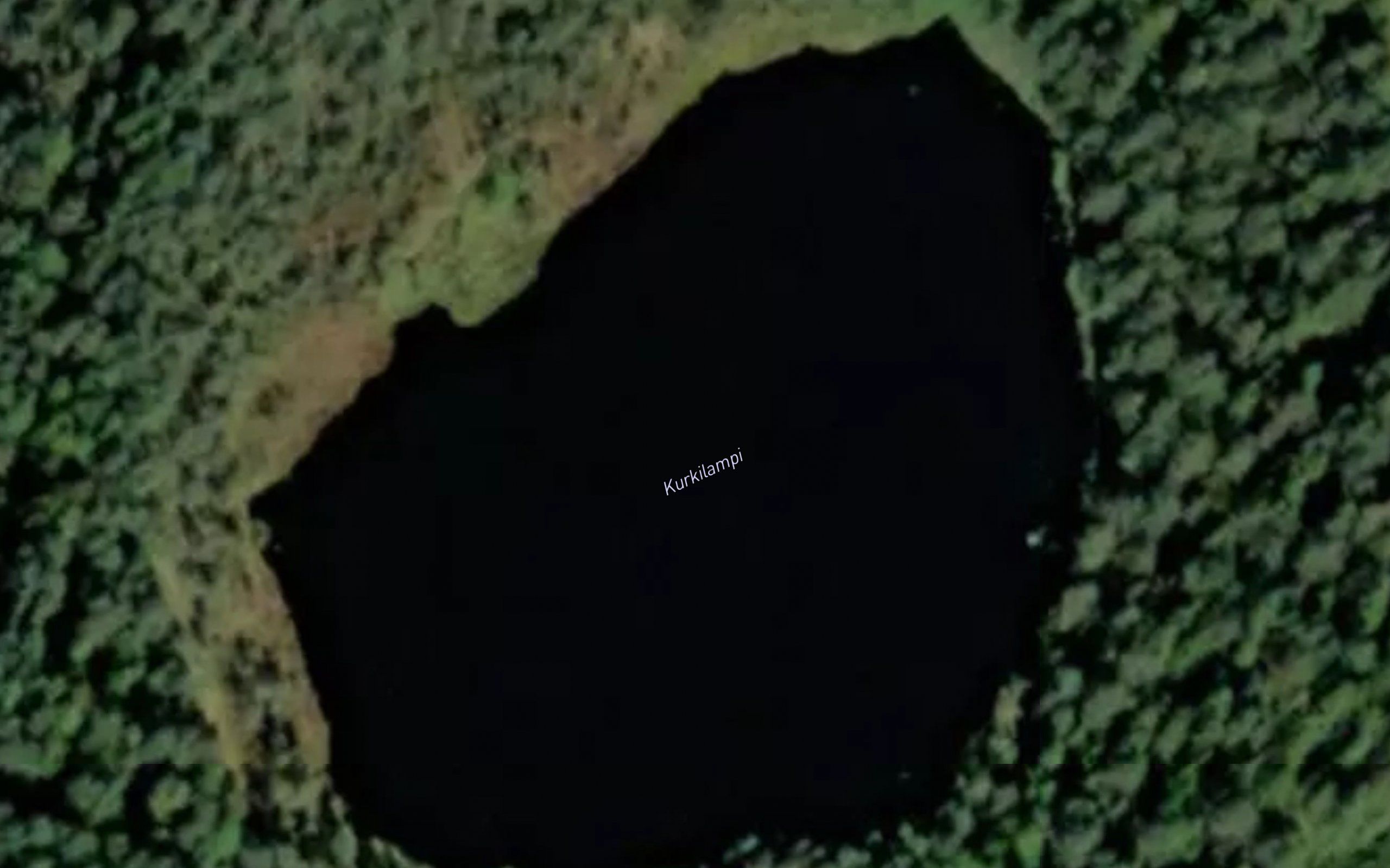 Kurkilampi