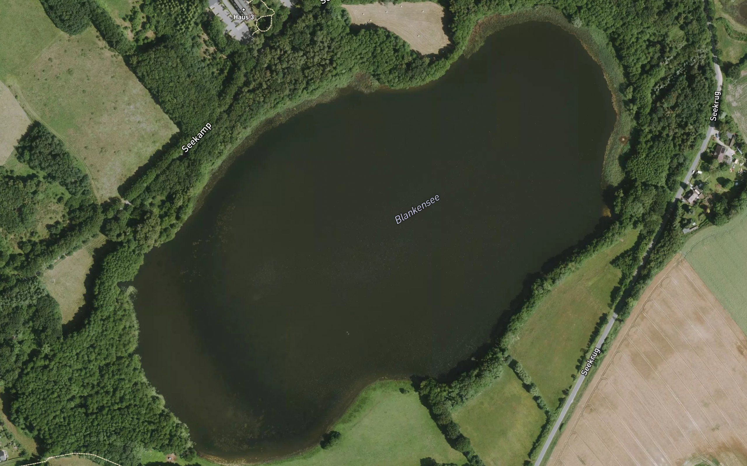 Blankensee