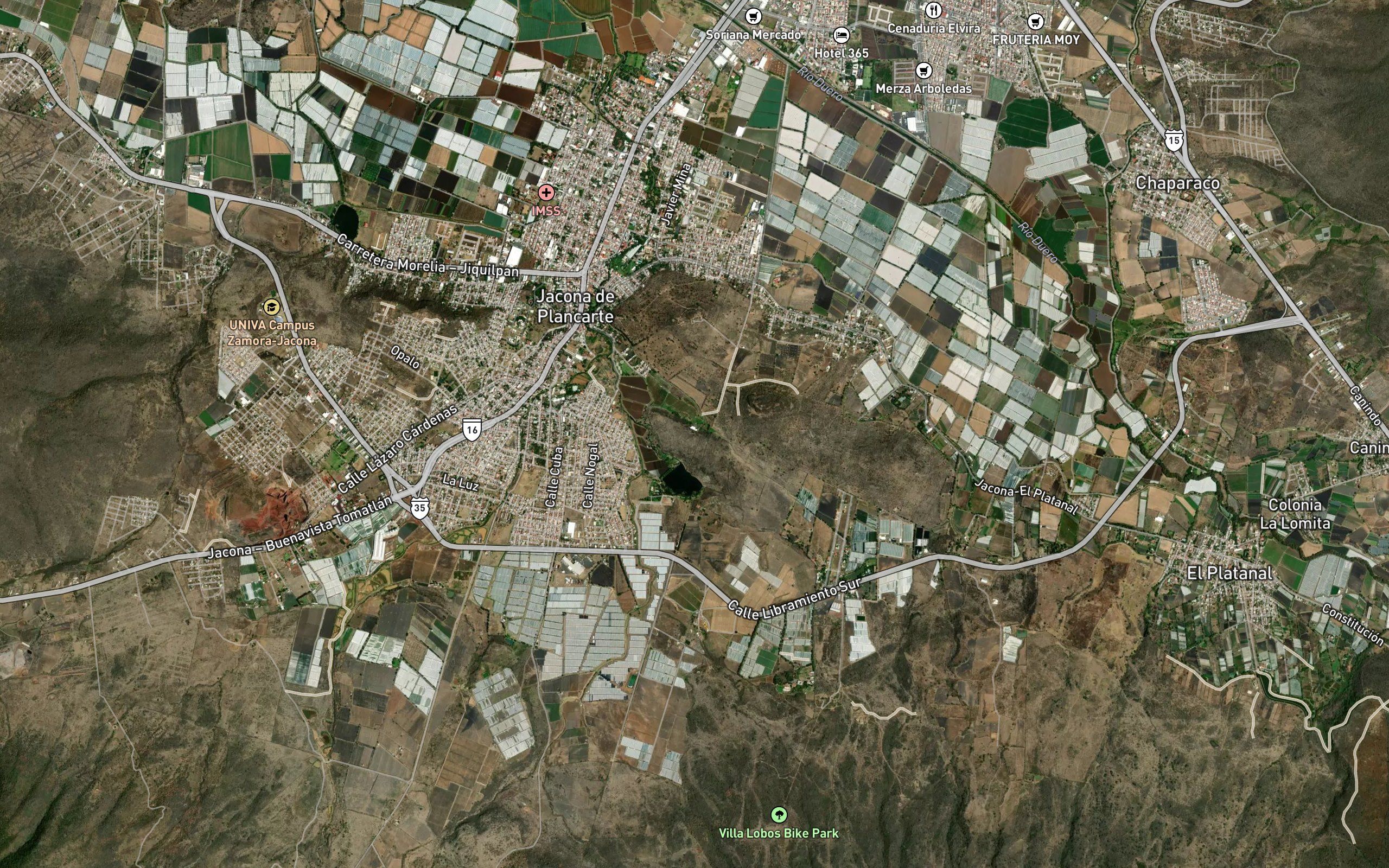 El Bosque
