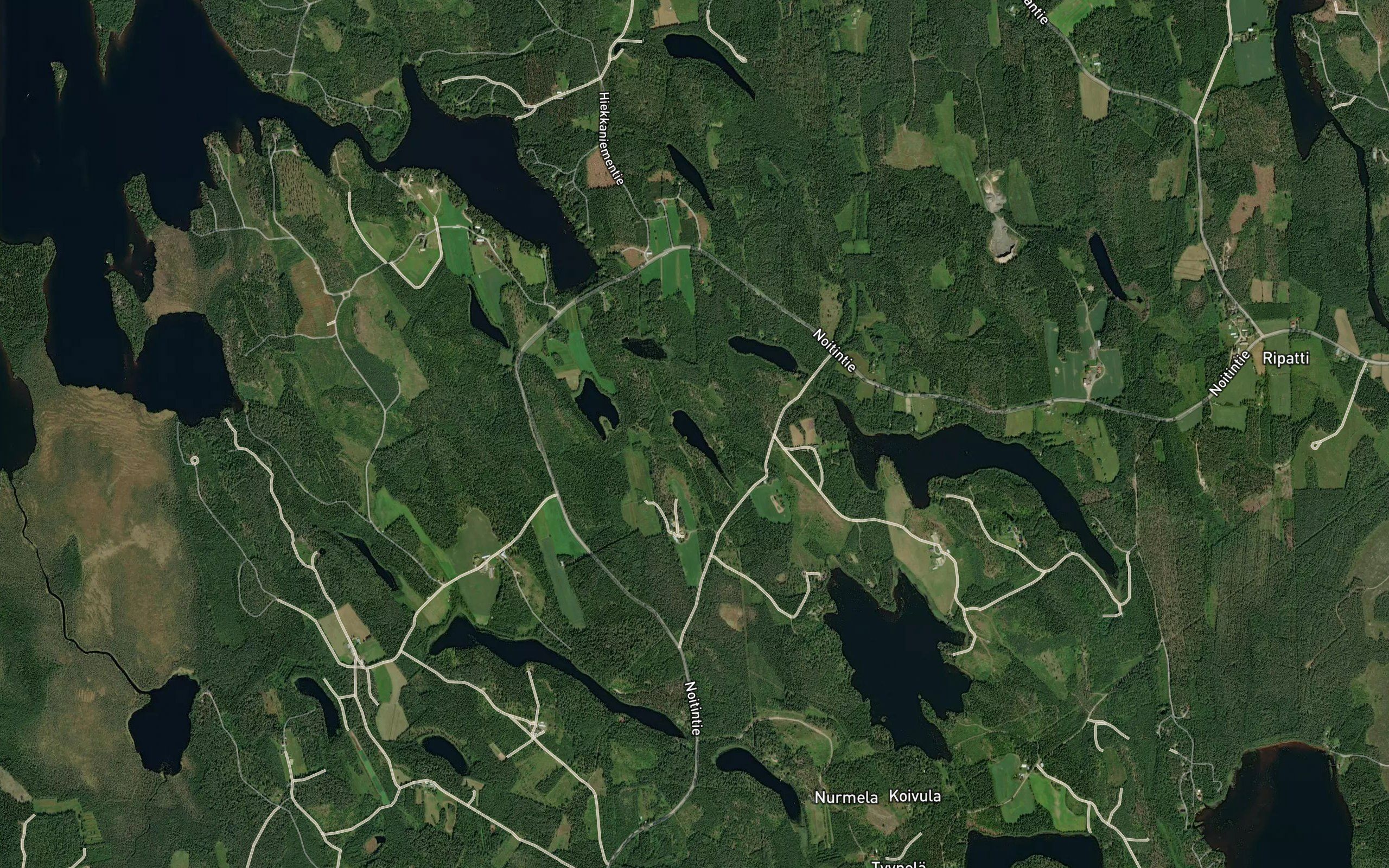 Verkkolampi