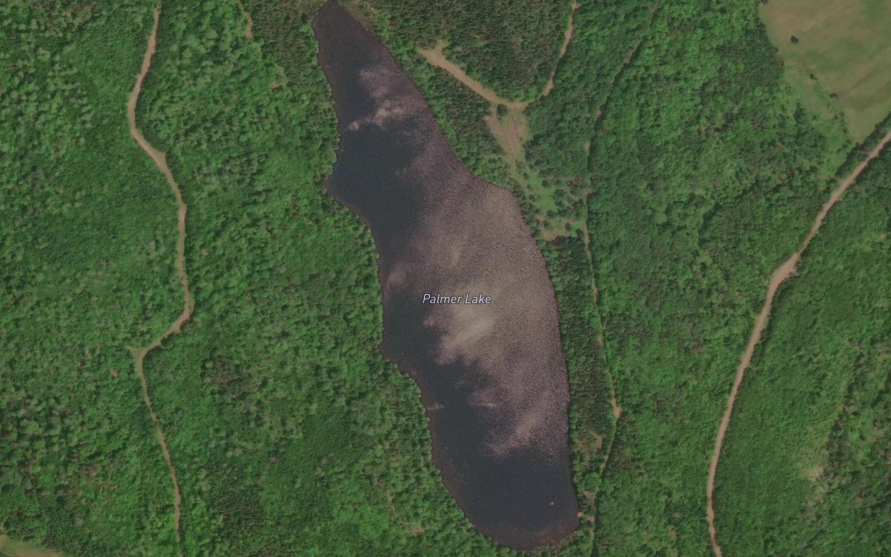 Satellite map of the Palmer Lake