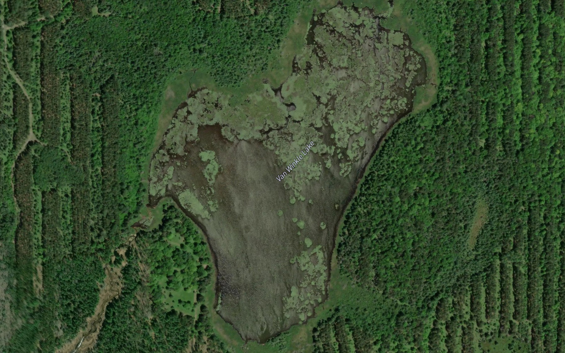 Satellite map of the Van Winkle Lake