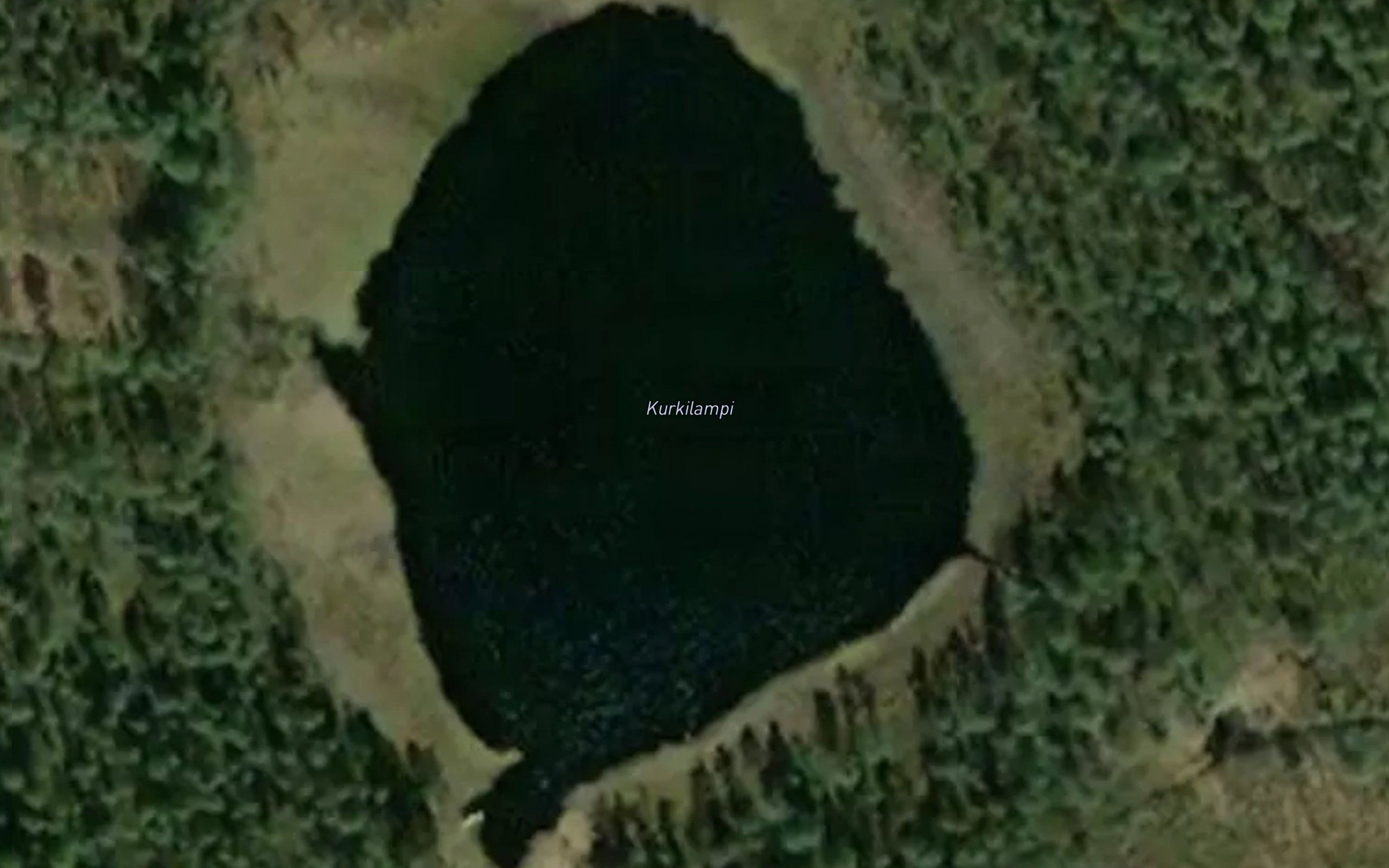 Kurkilampi