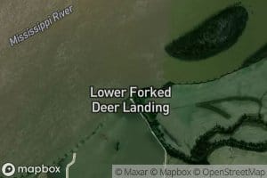 Lower Forked Deer River