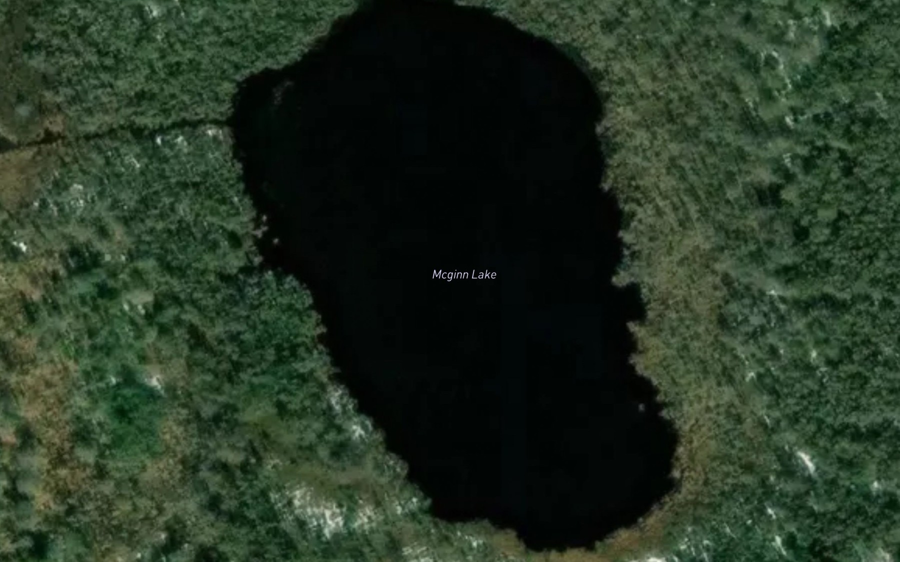 Satellite map of the McGinn Lake