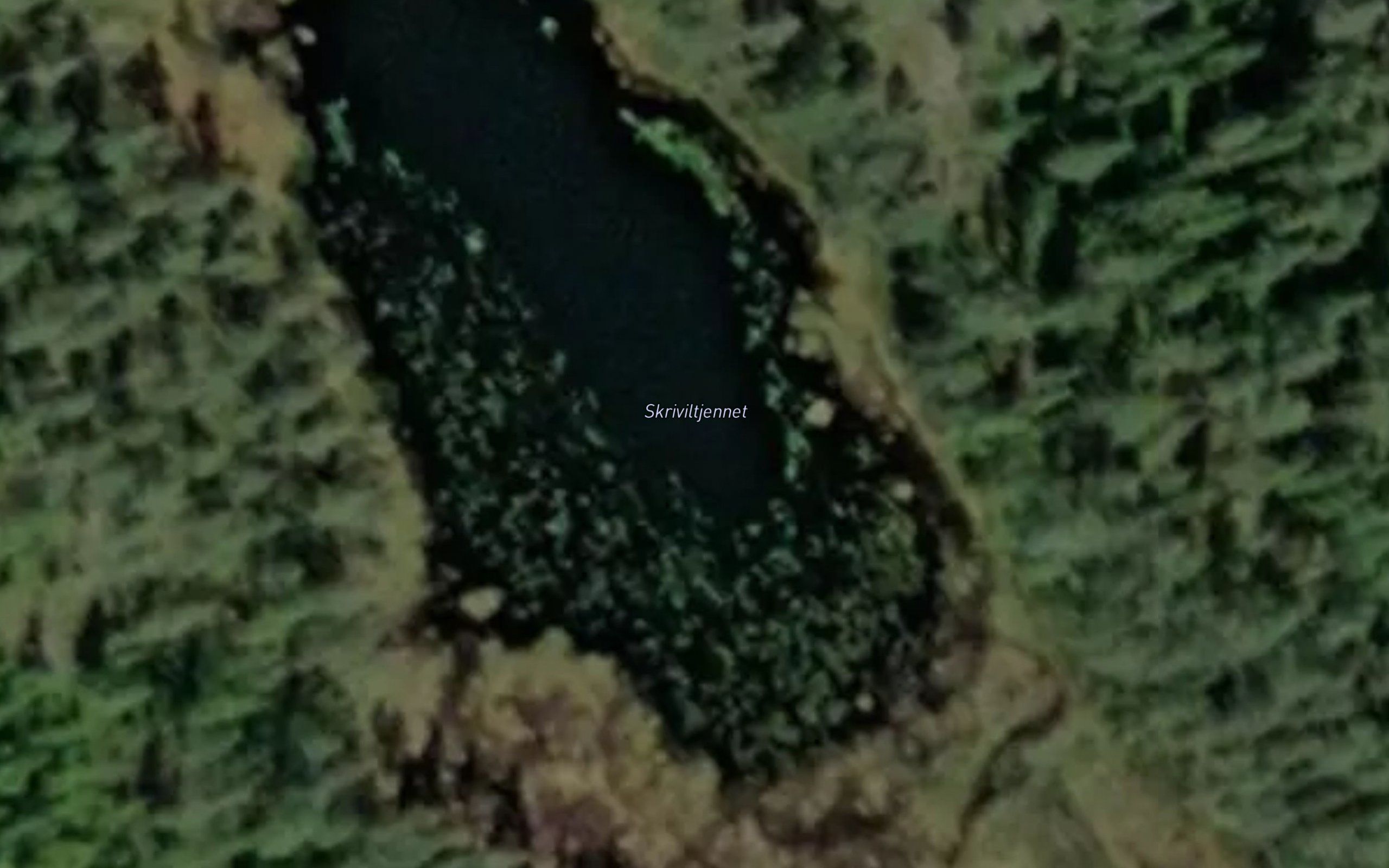 Skriviltjennet