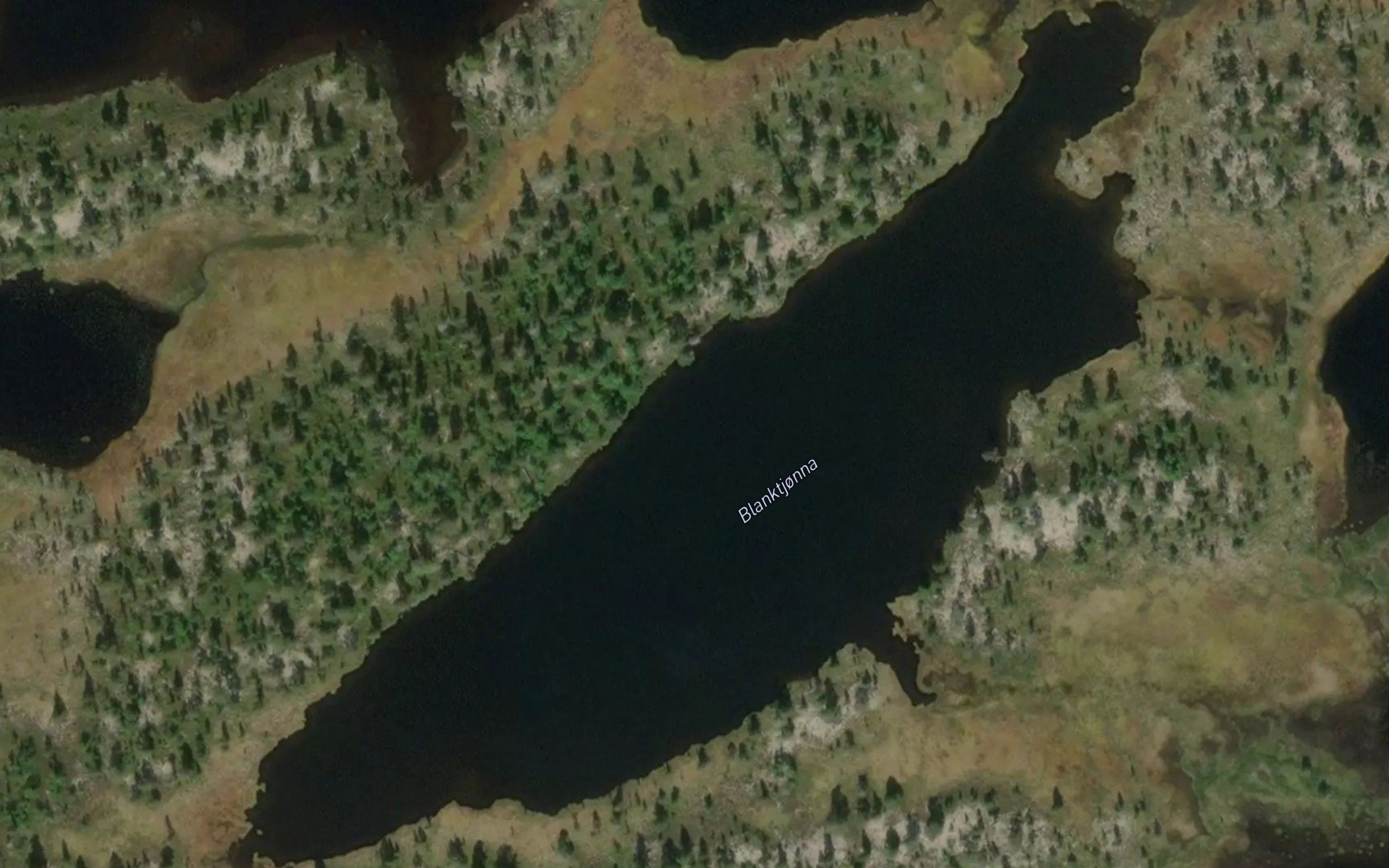 Blanktjorna