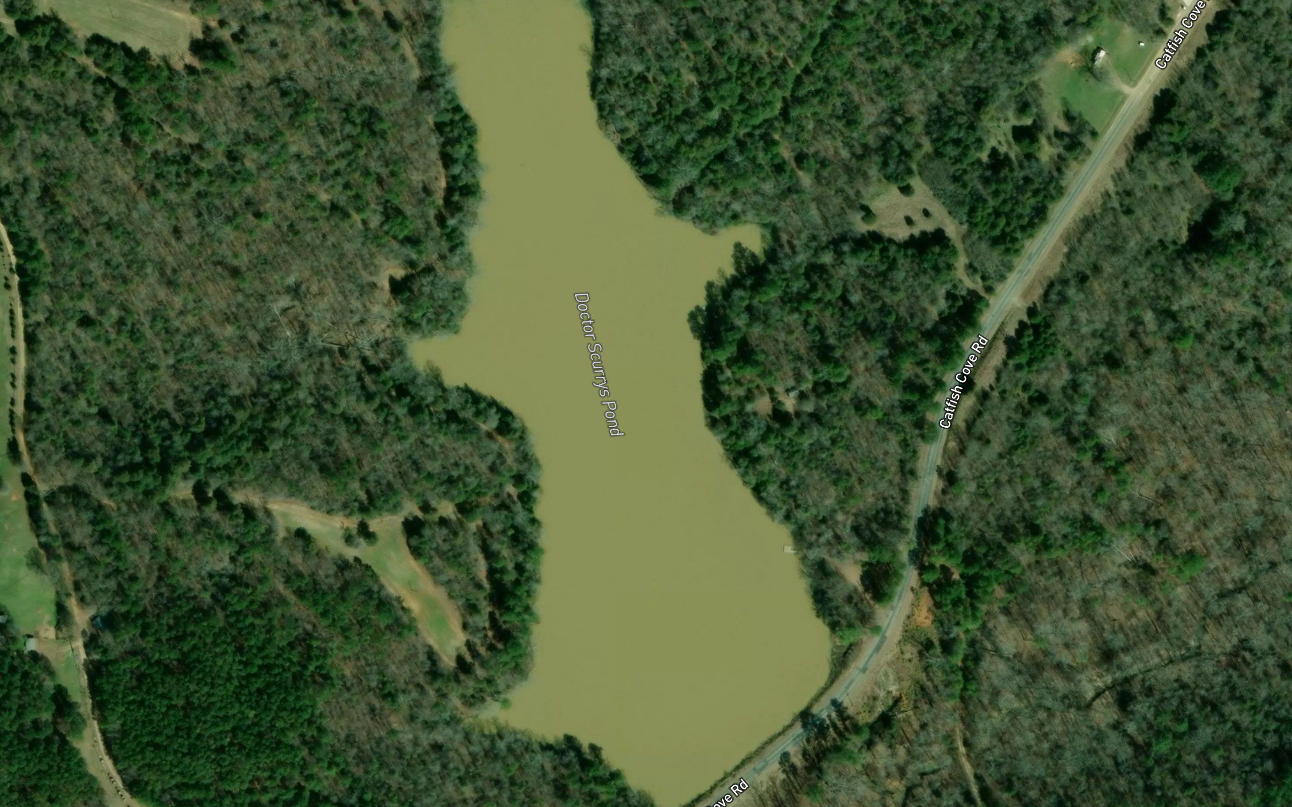 Doctor Scurrys Pond