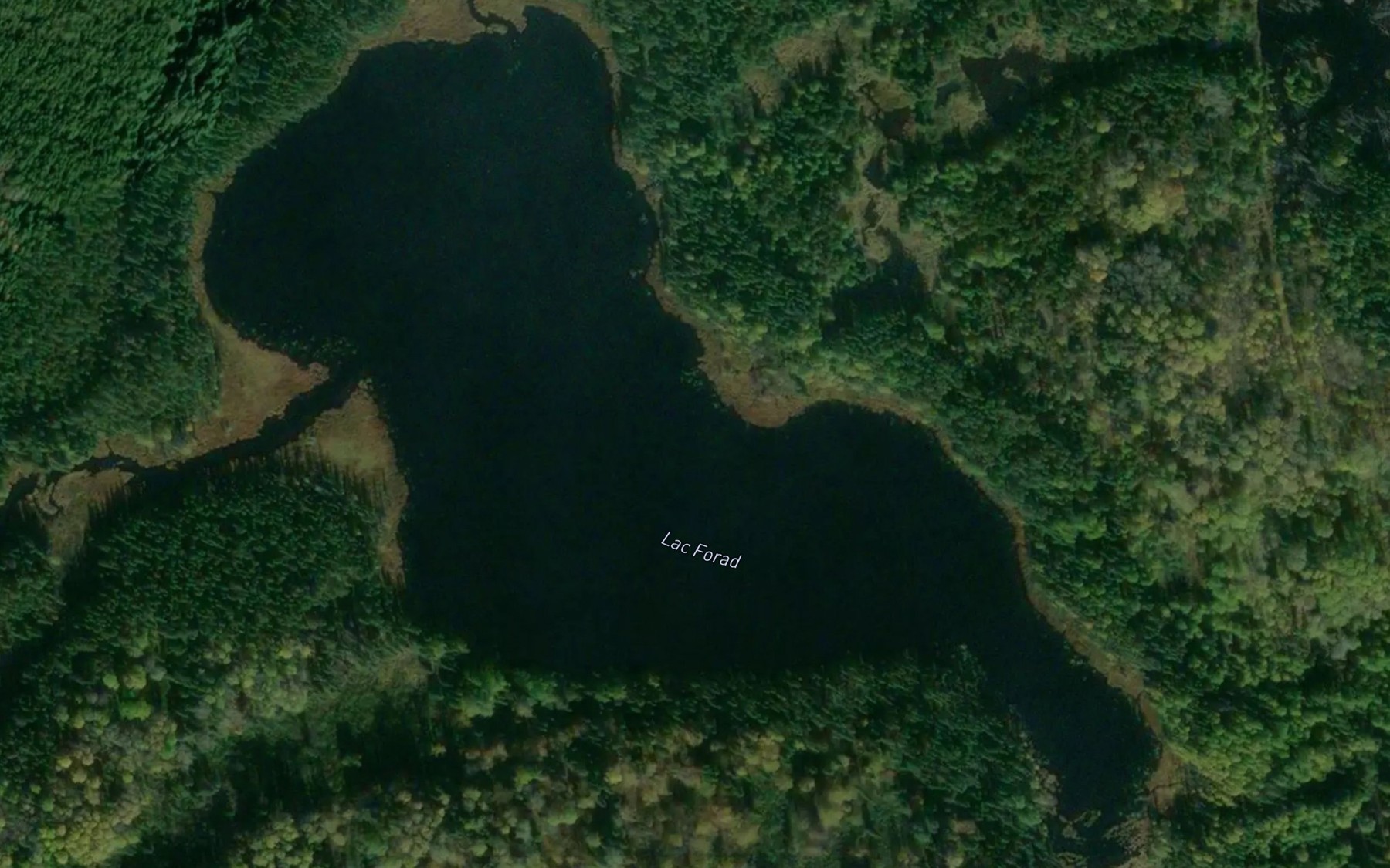 Satellite map of the Lac Forad