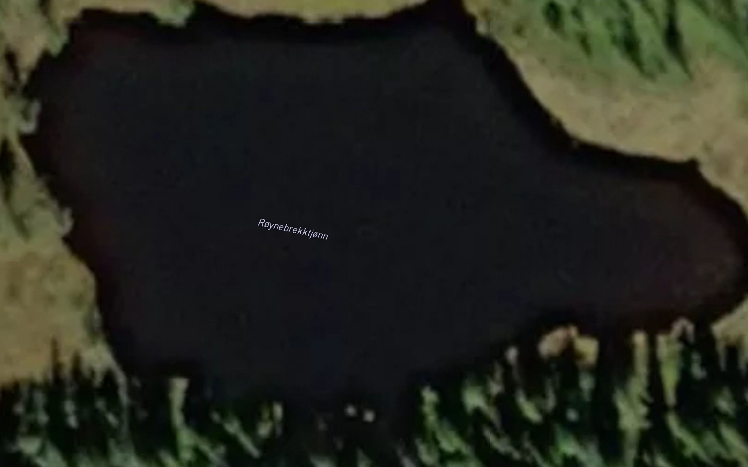 Roynebrekktjonn