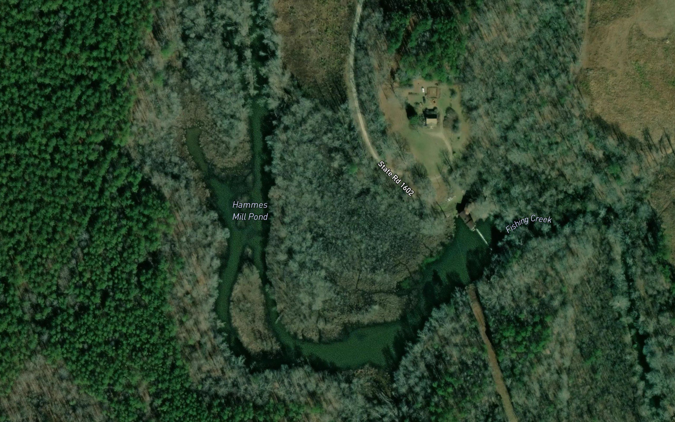 Hammes Mill Pond