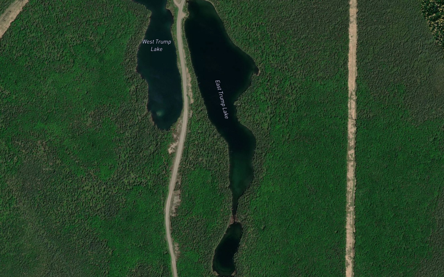 Satellite map of the East Trump Lake