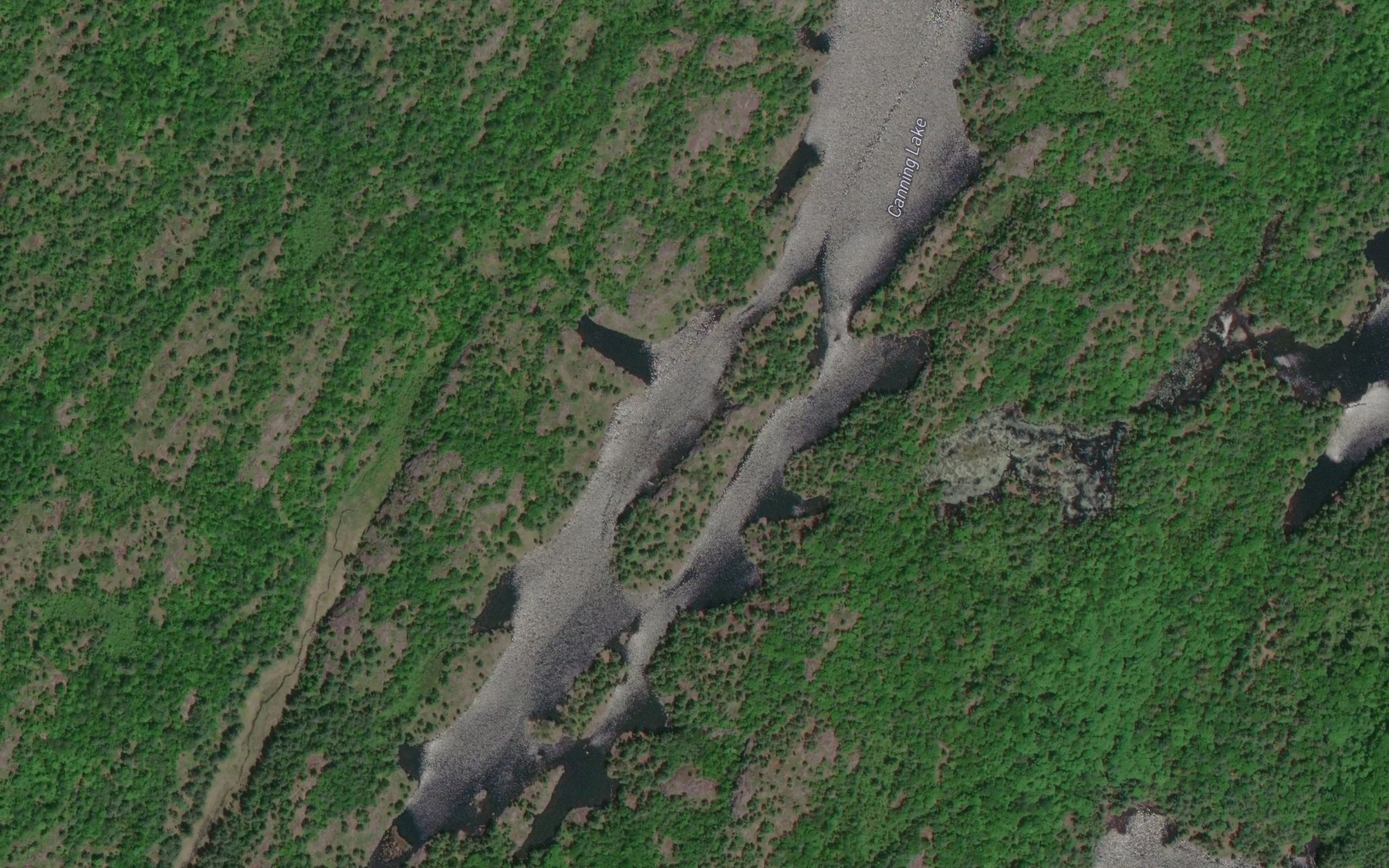 Satellite map of the Canning Lake