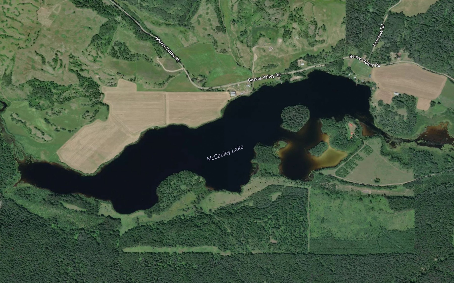 Satellite map of the McCauley Lake