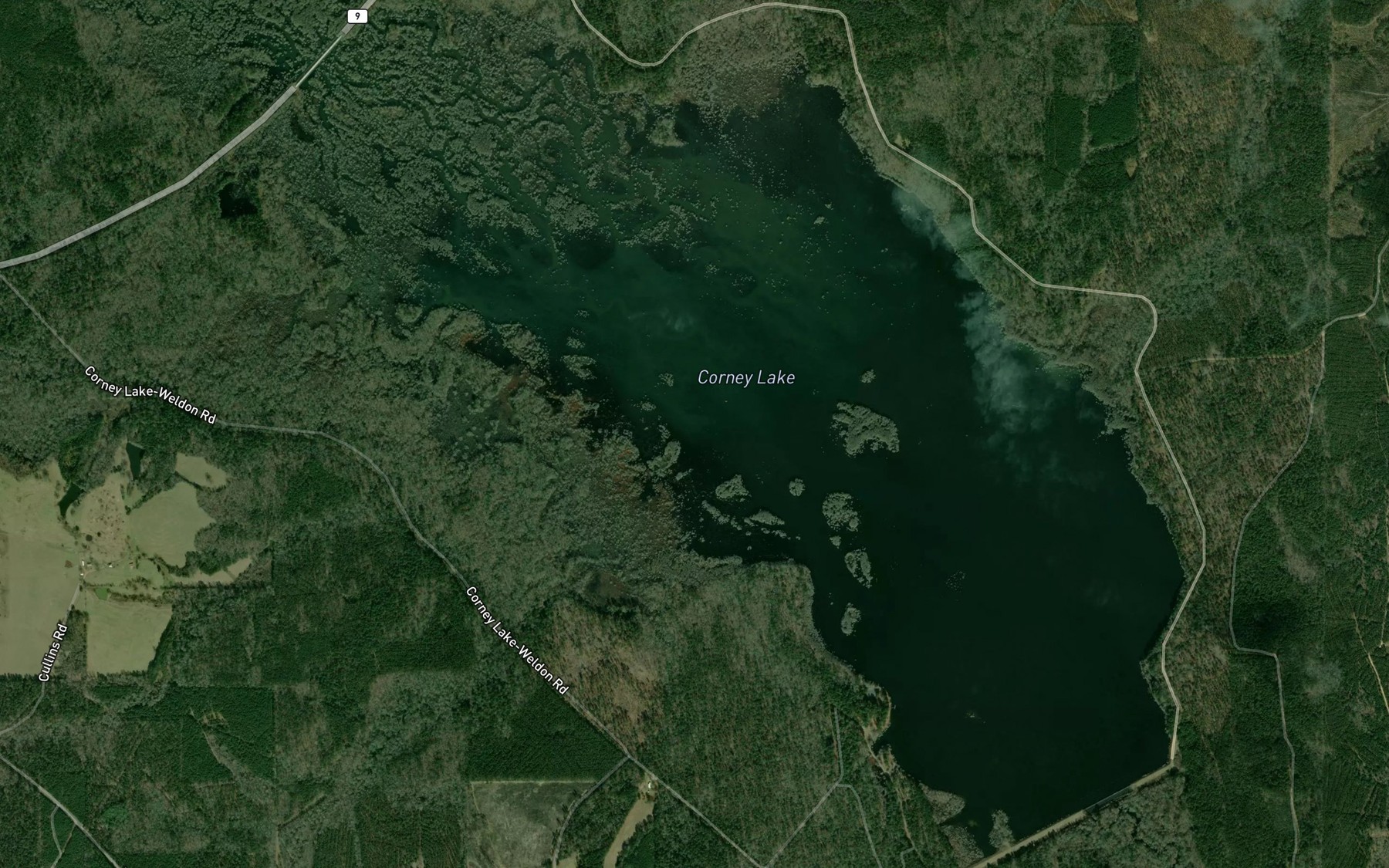 Satellite map of the Corney Lake