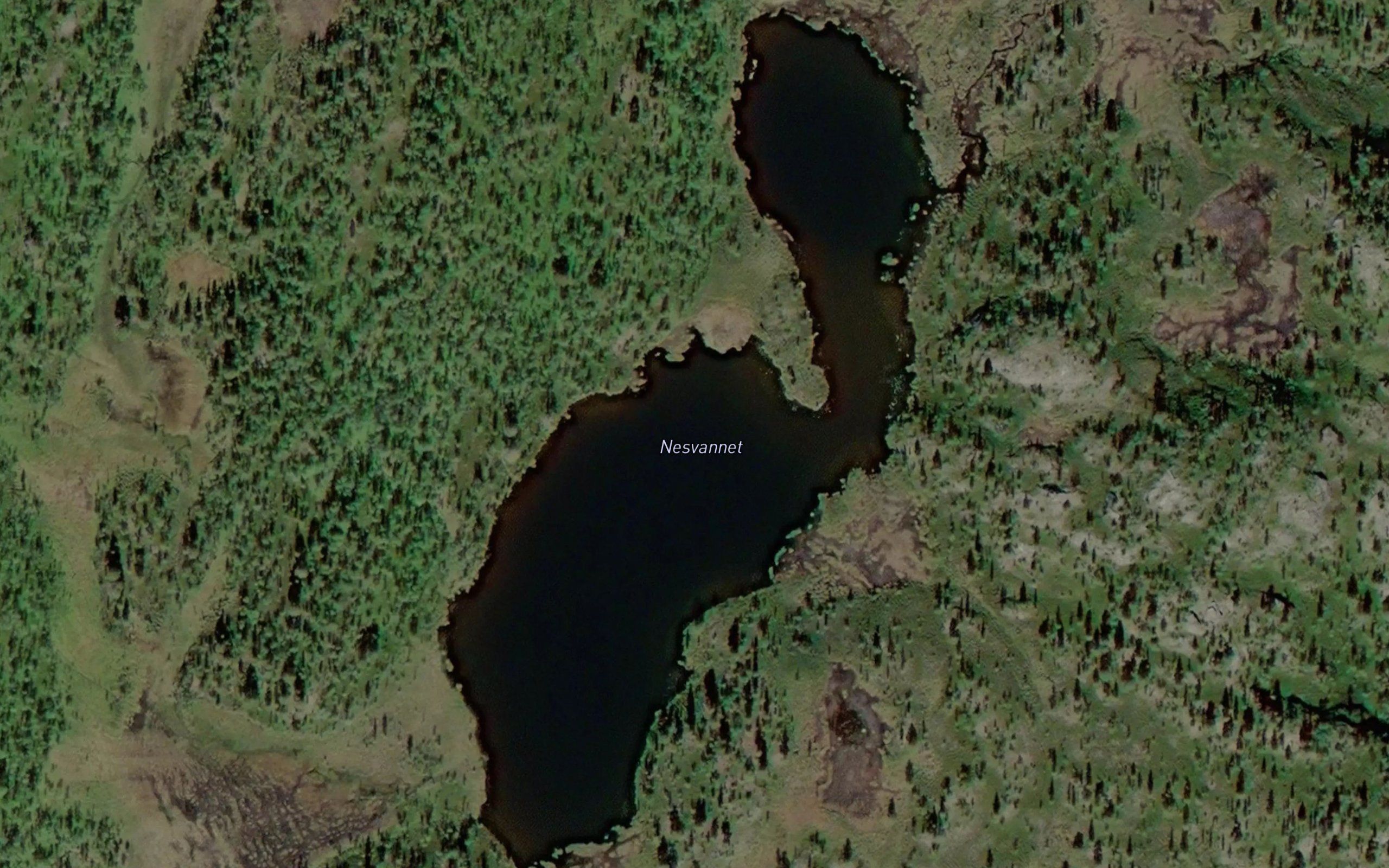 Nesvannet