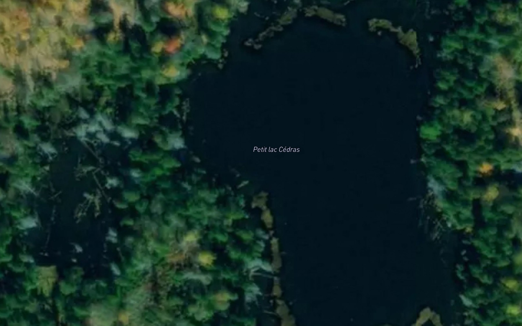 Satellite map of the Petit lac Cedras