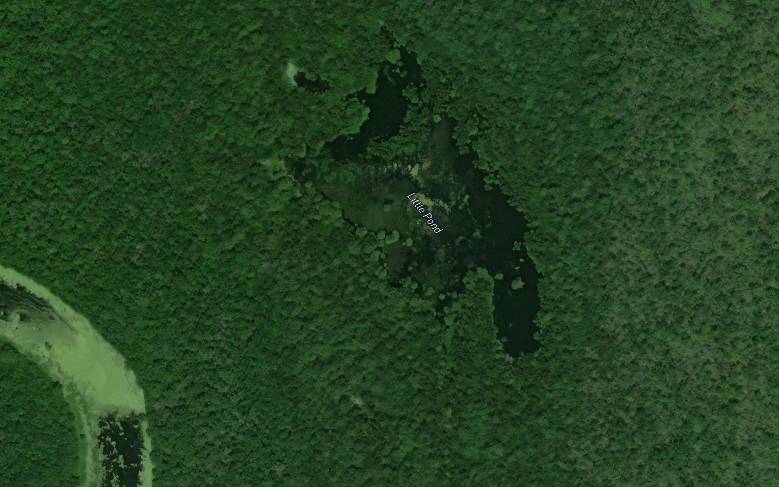 Little Pond