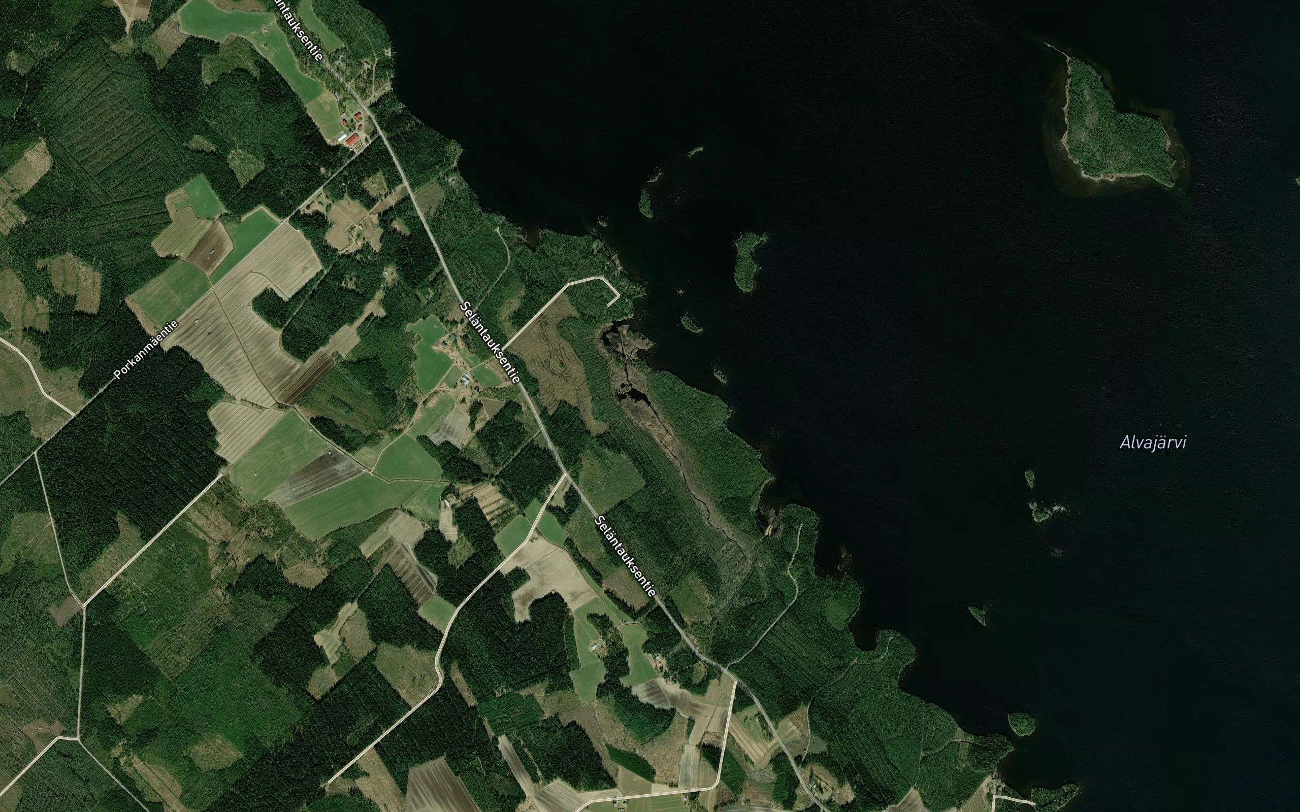 Kontanjoki