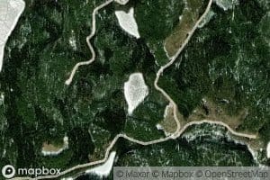 Kauralampi