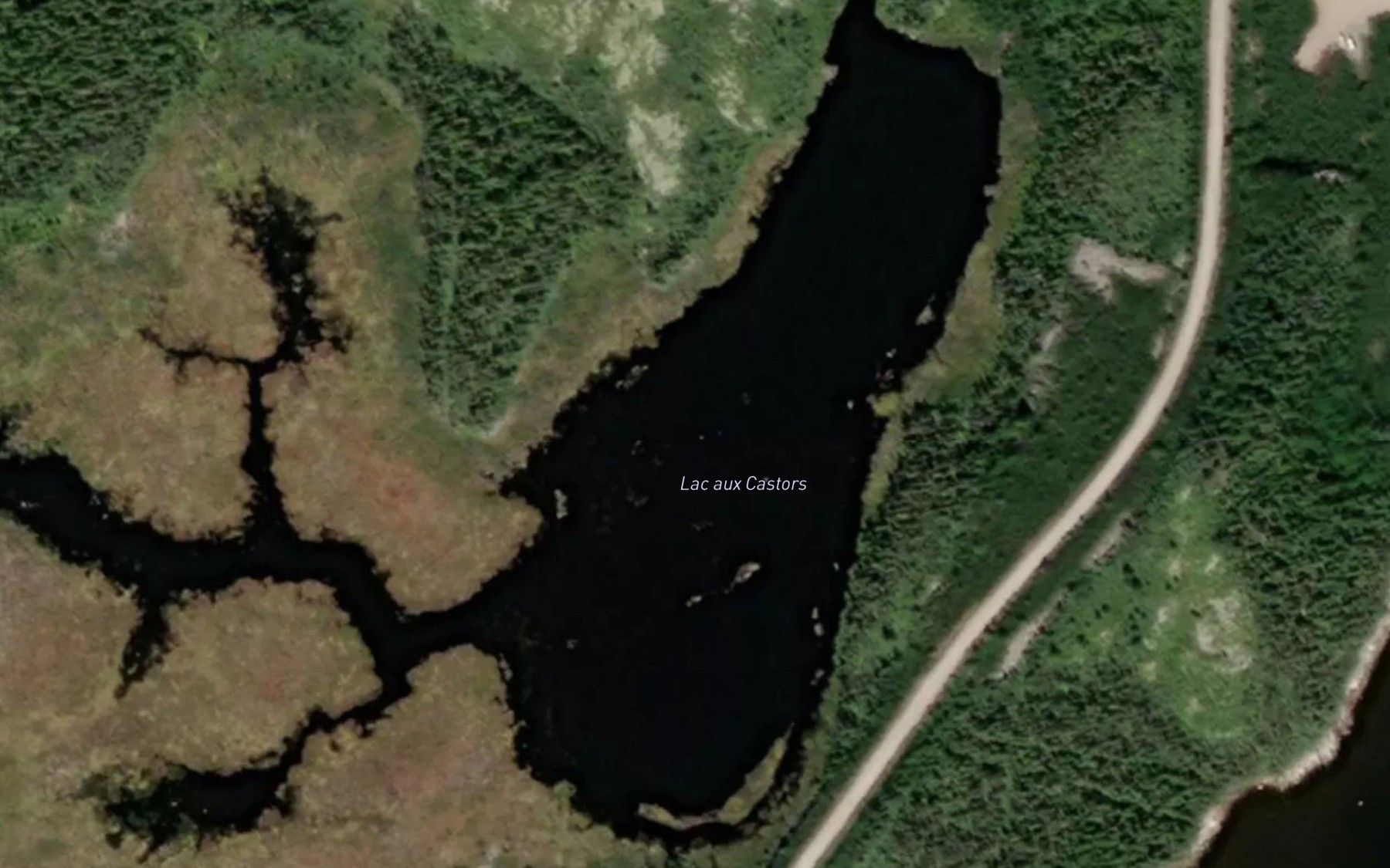 Satellite map of the Lac aux Castors