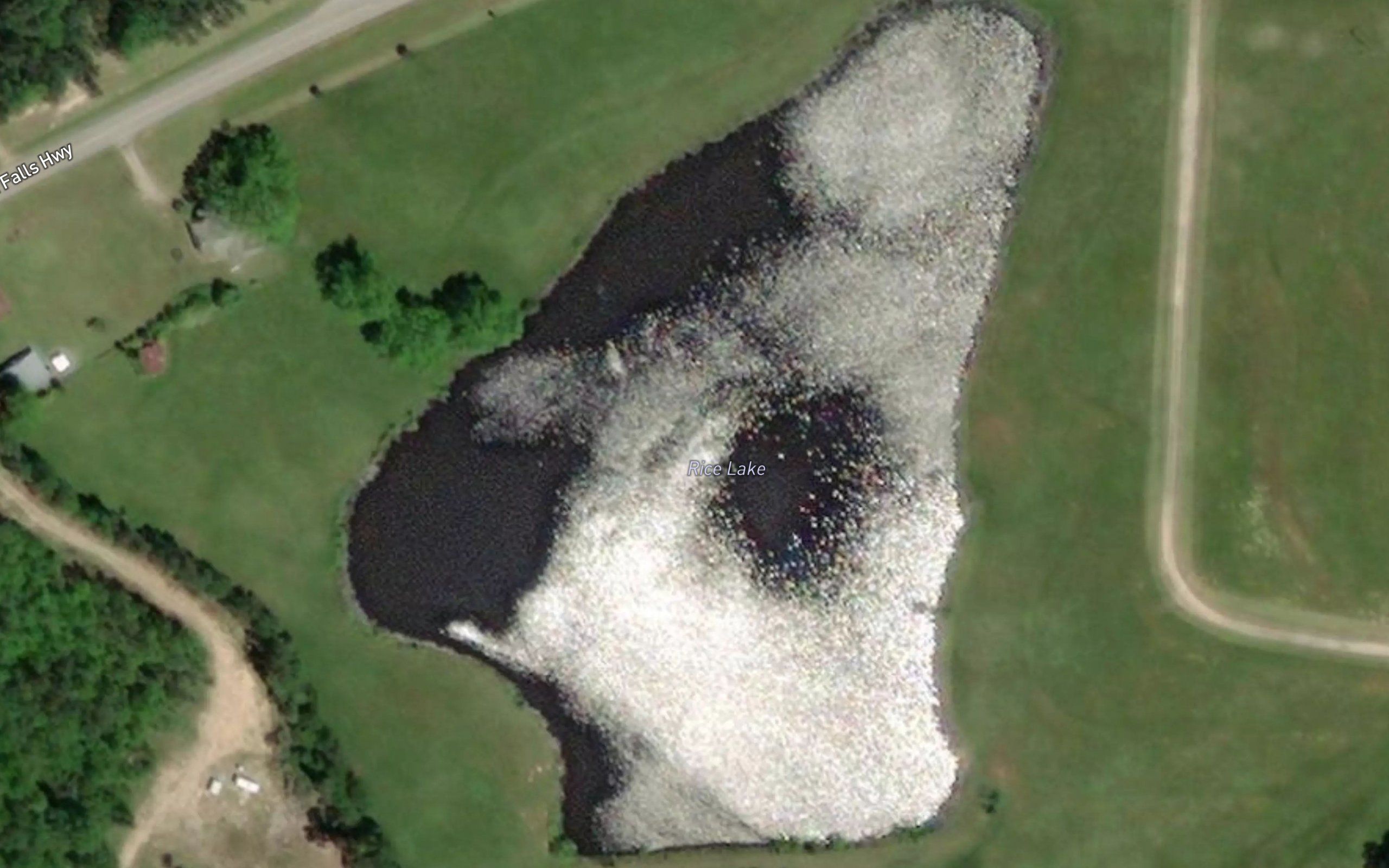 Rice Lake