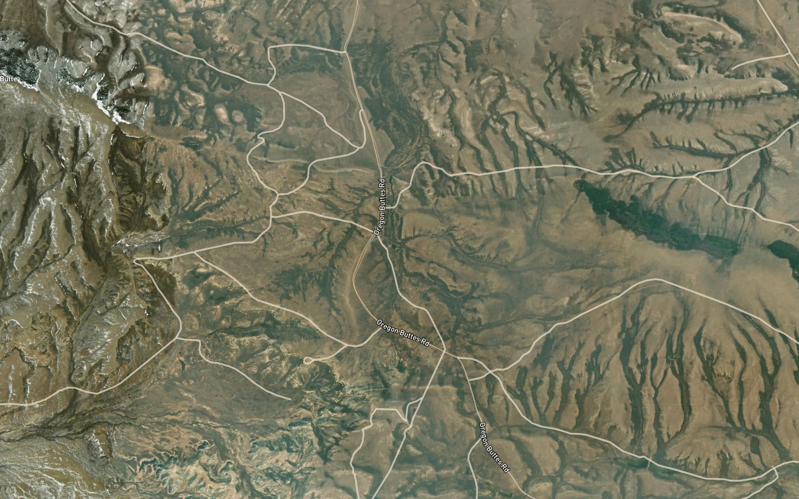 Dickie Springs