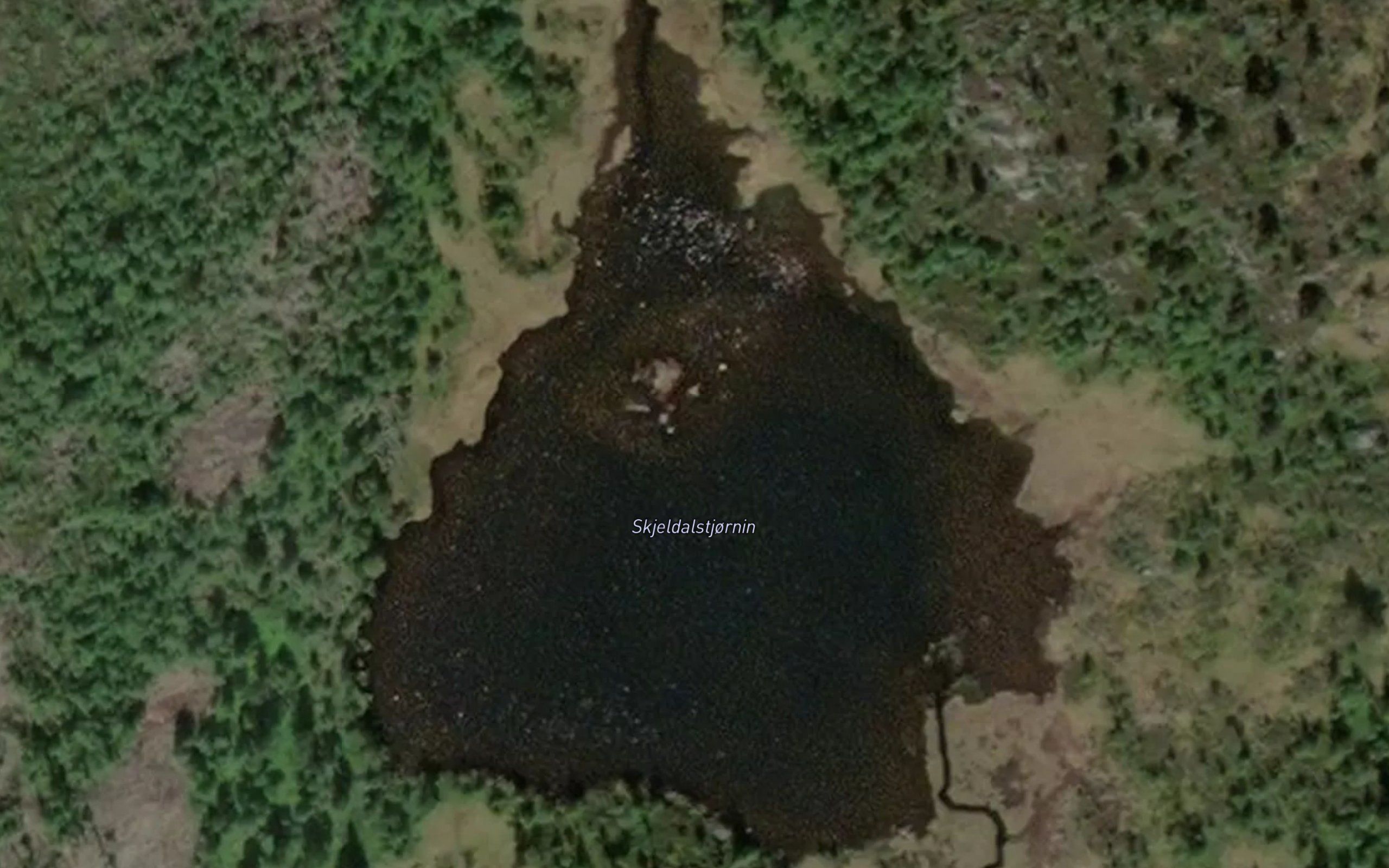 Skjelledalstjonni
