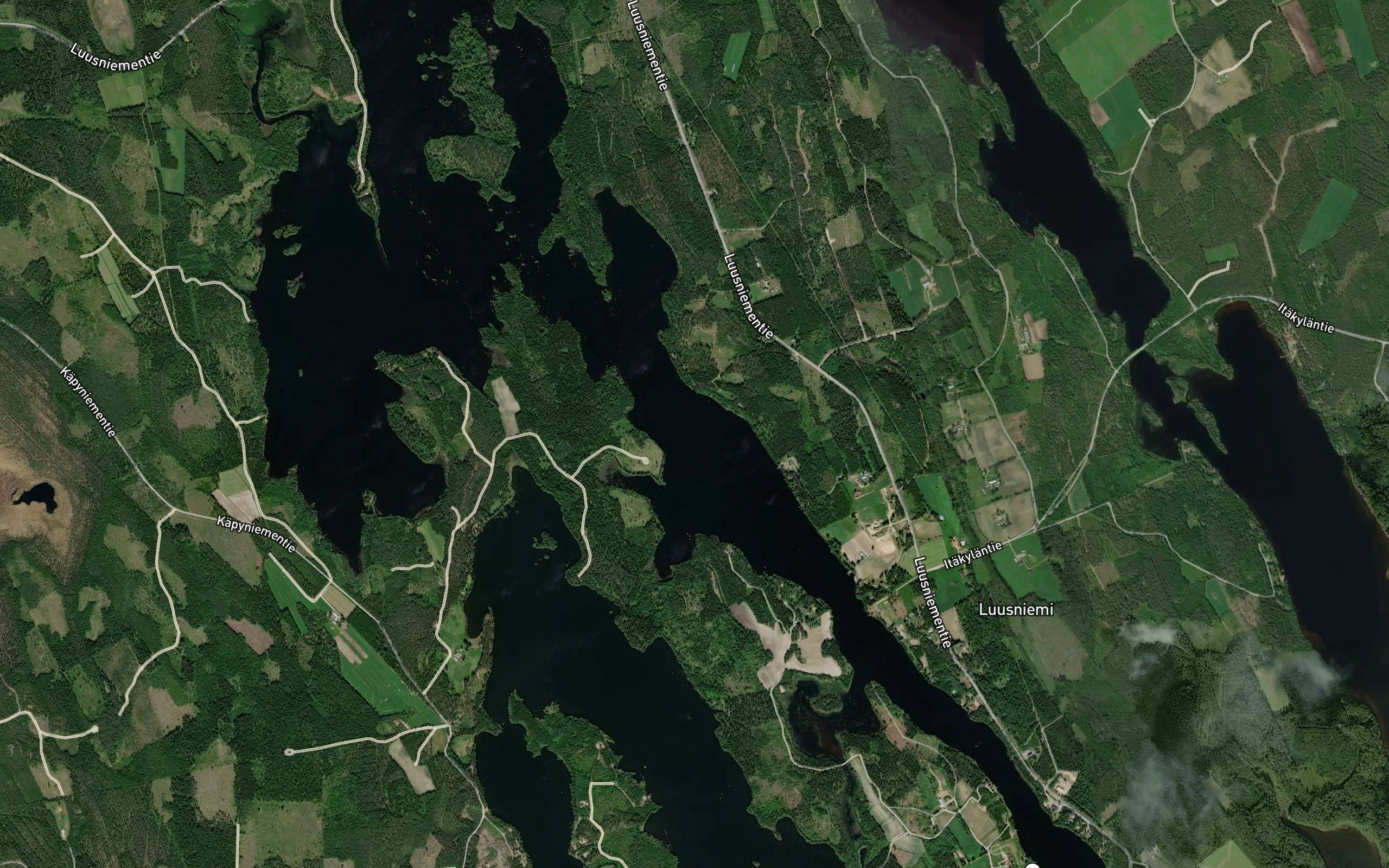 Tervaselka