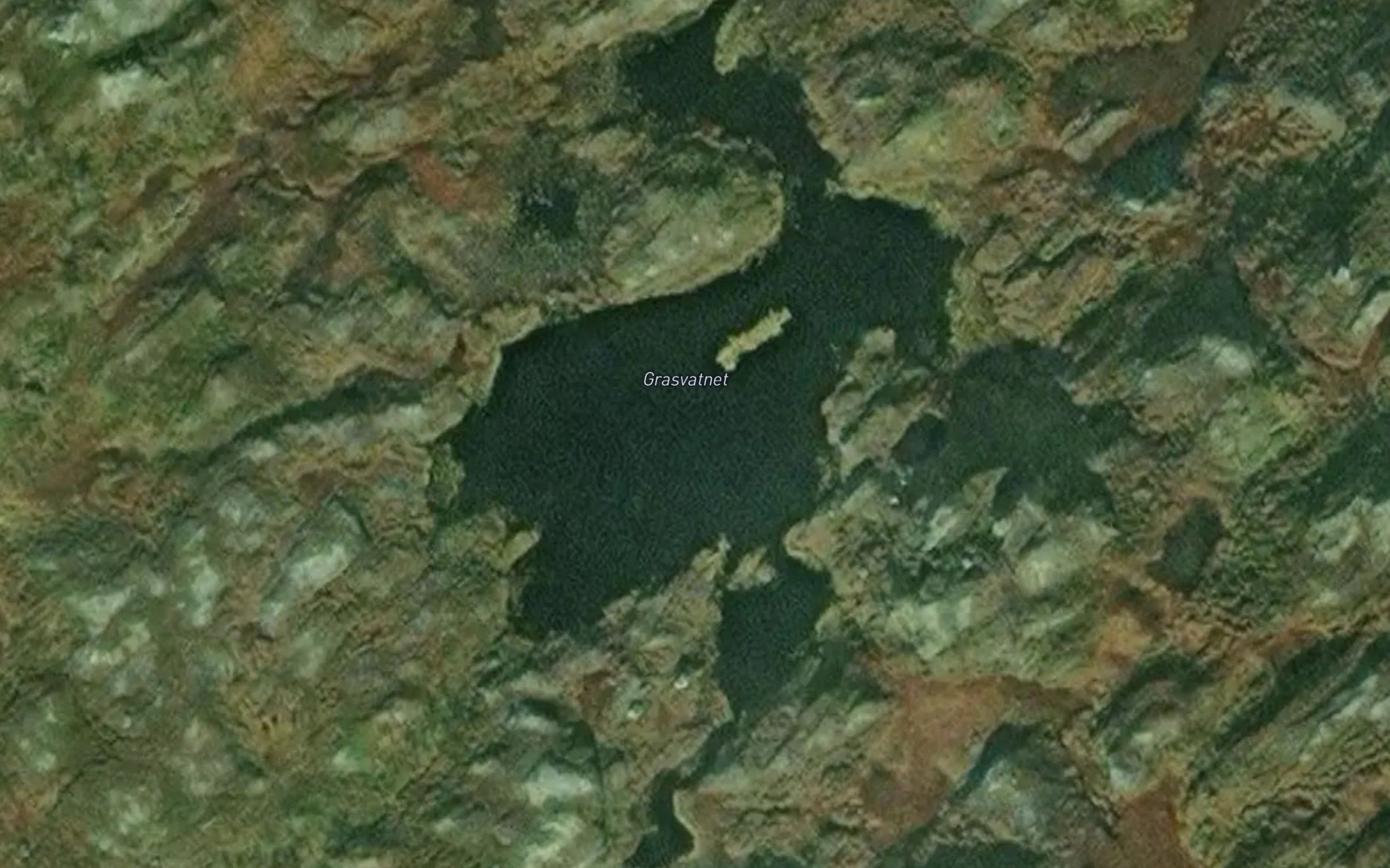 Grasvatnet