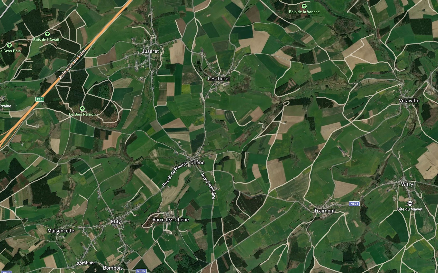 Satellite map of the Chene