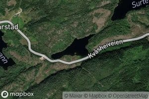 Vestre Surtevann