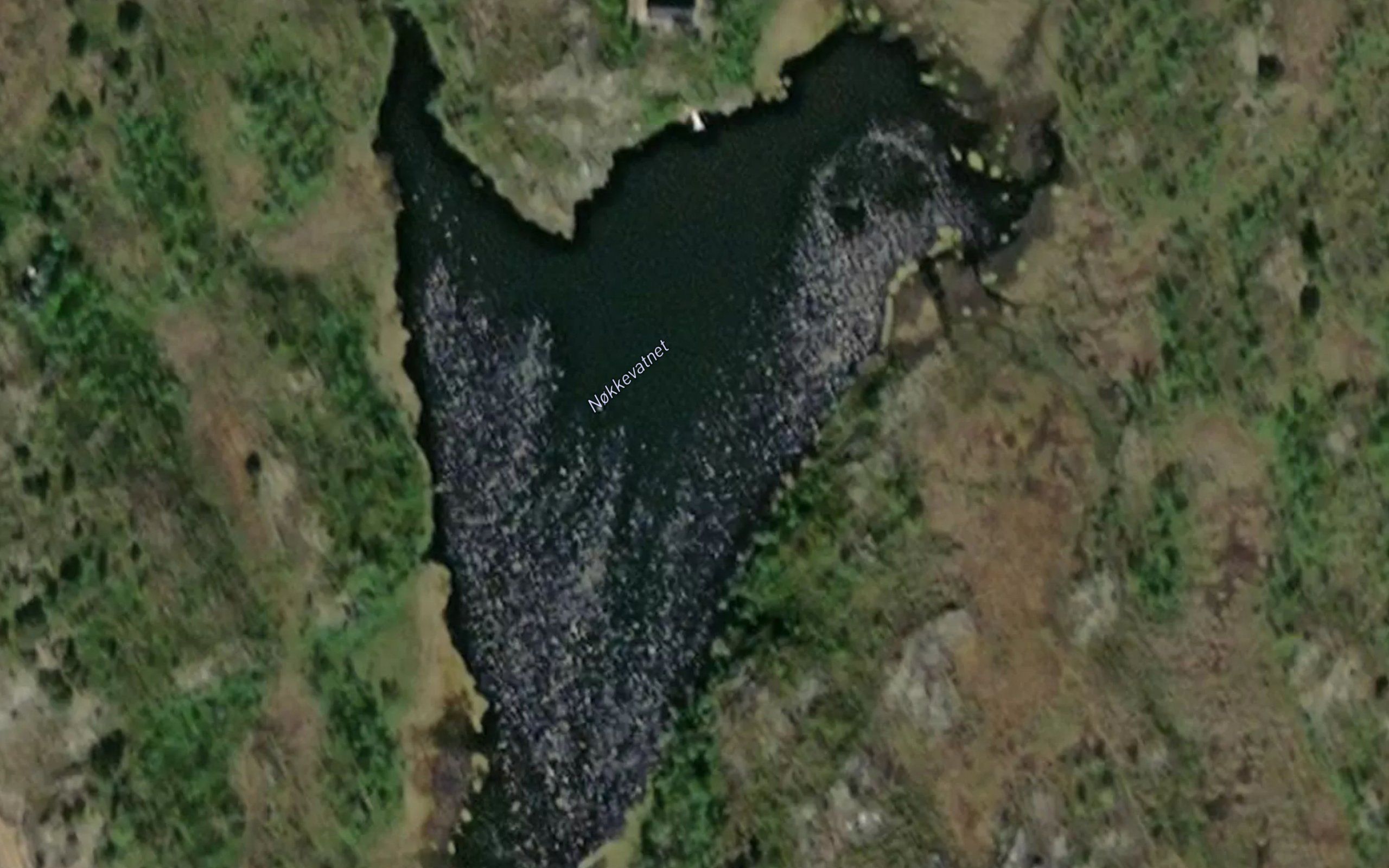 Nokkevatnet