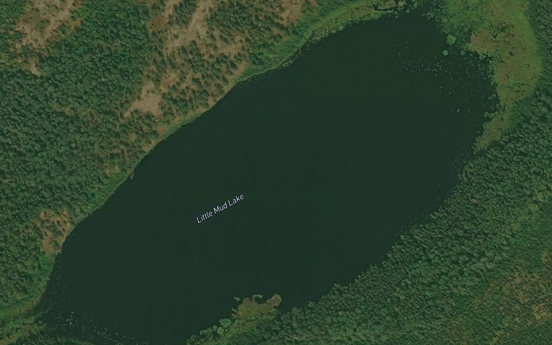 Satellite map of the Little Mud Lake