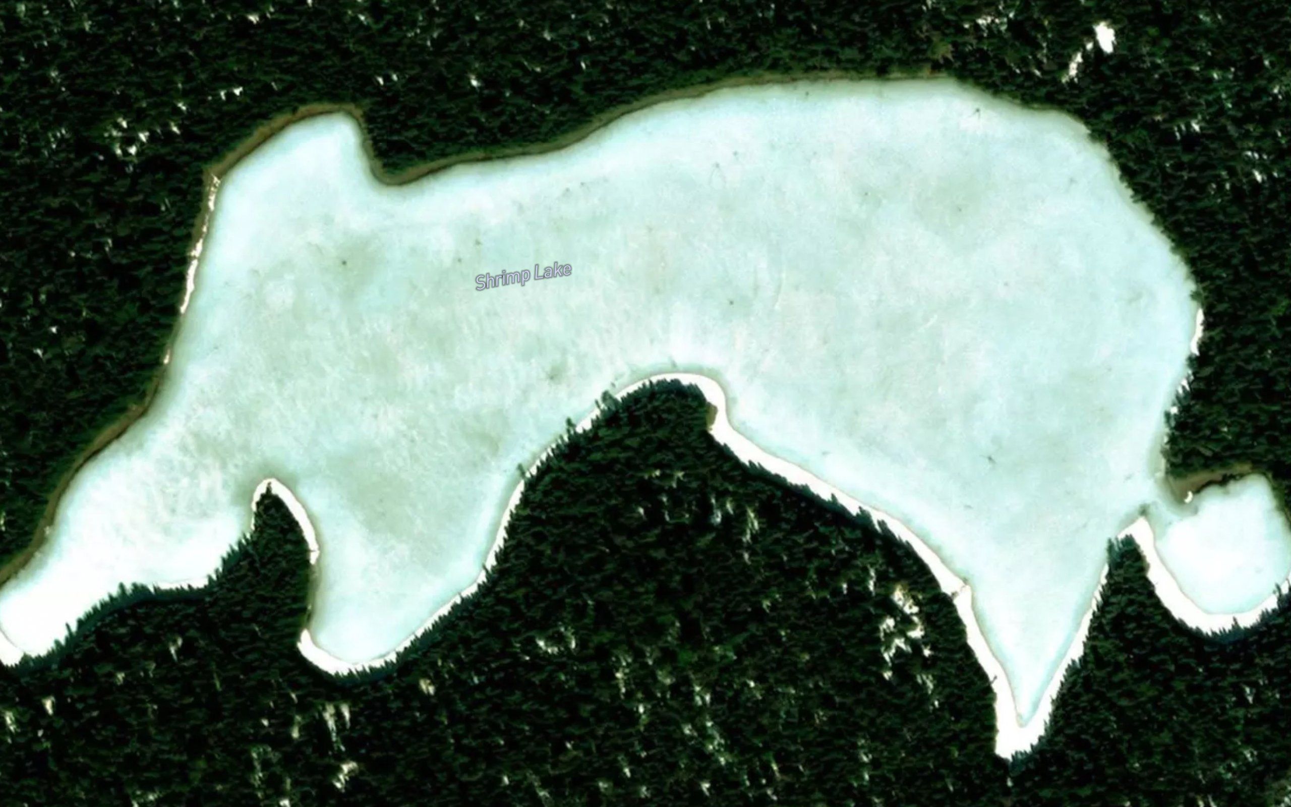 Shrimp Lake