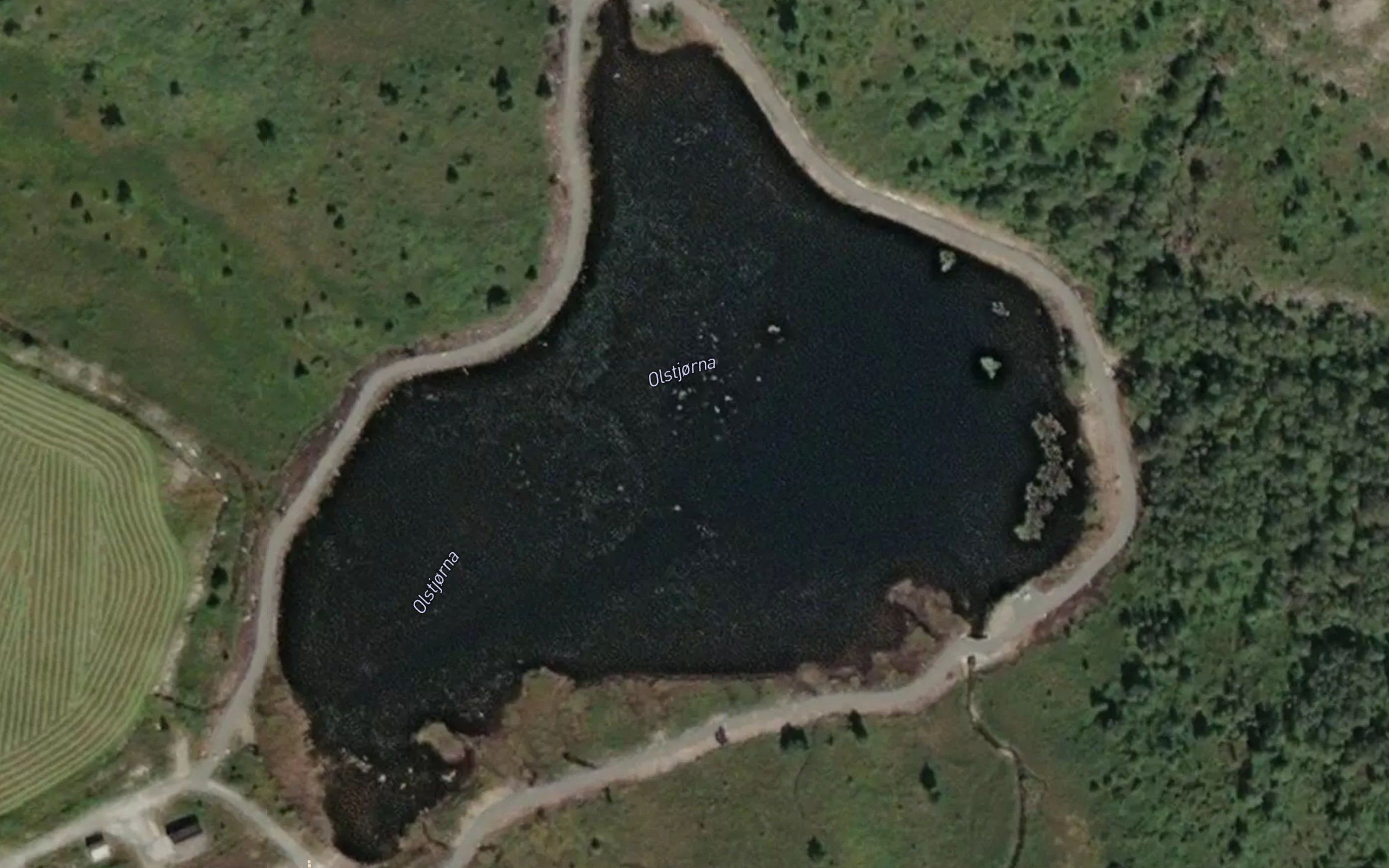 Olstjorna