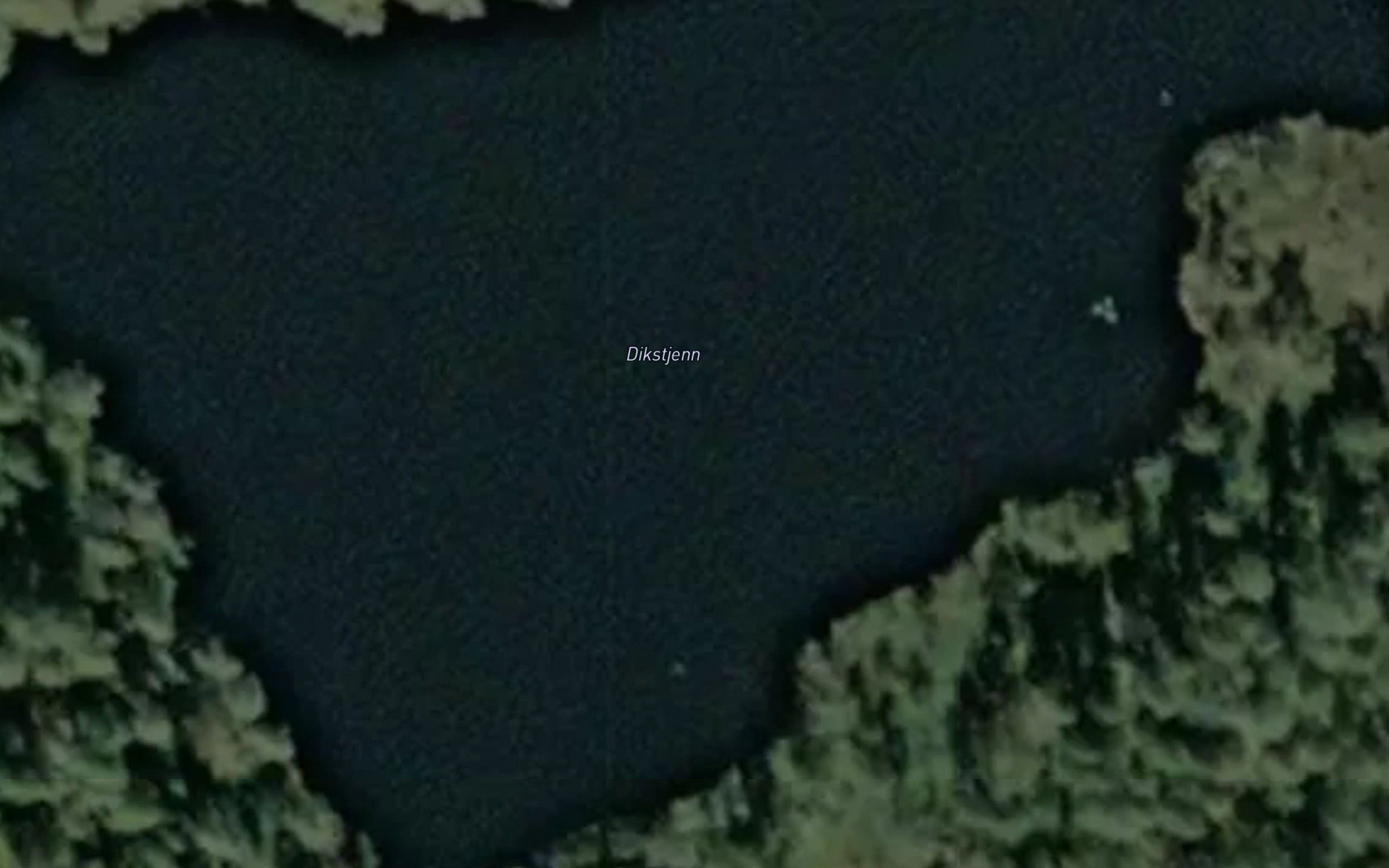 Dikstjern