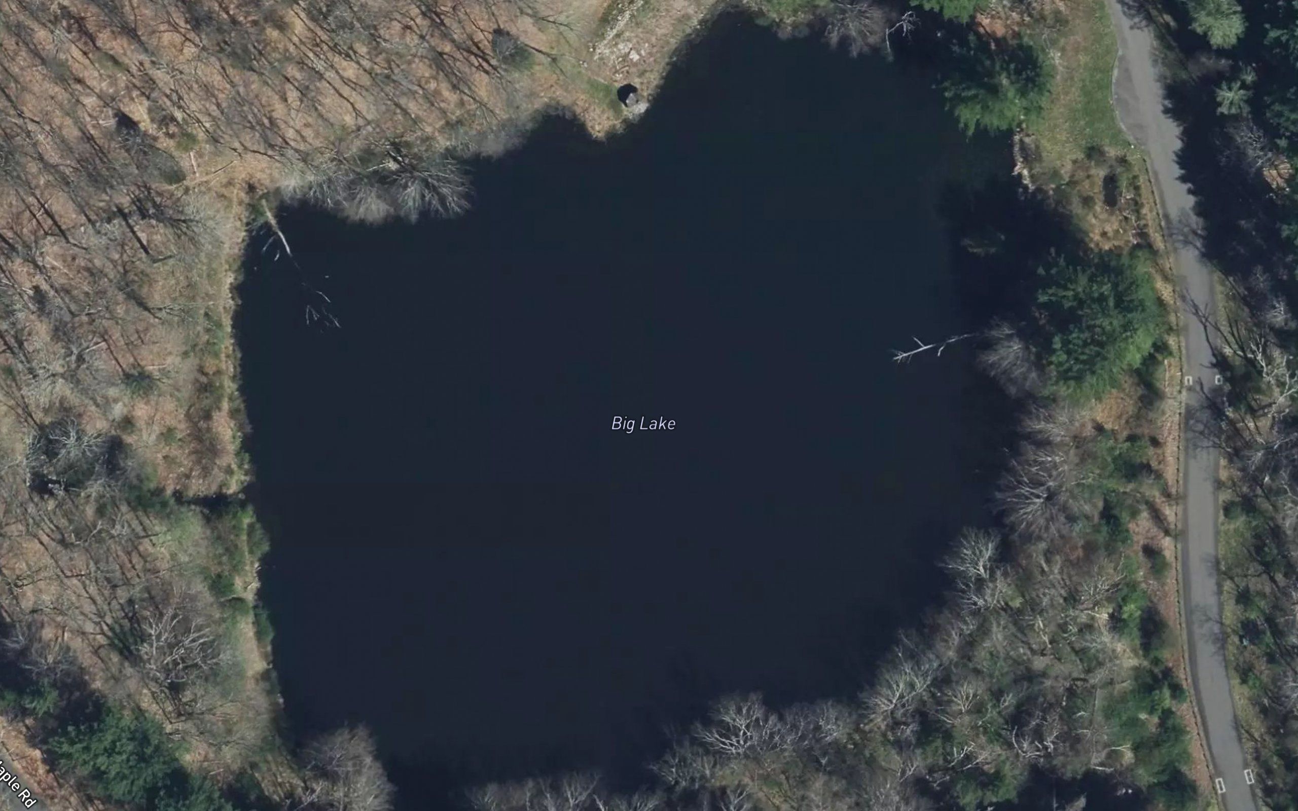 Big Lake