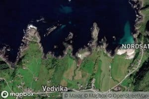 Bautavika