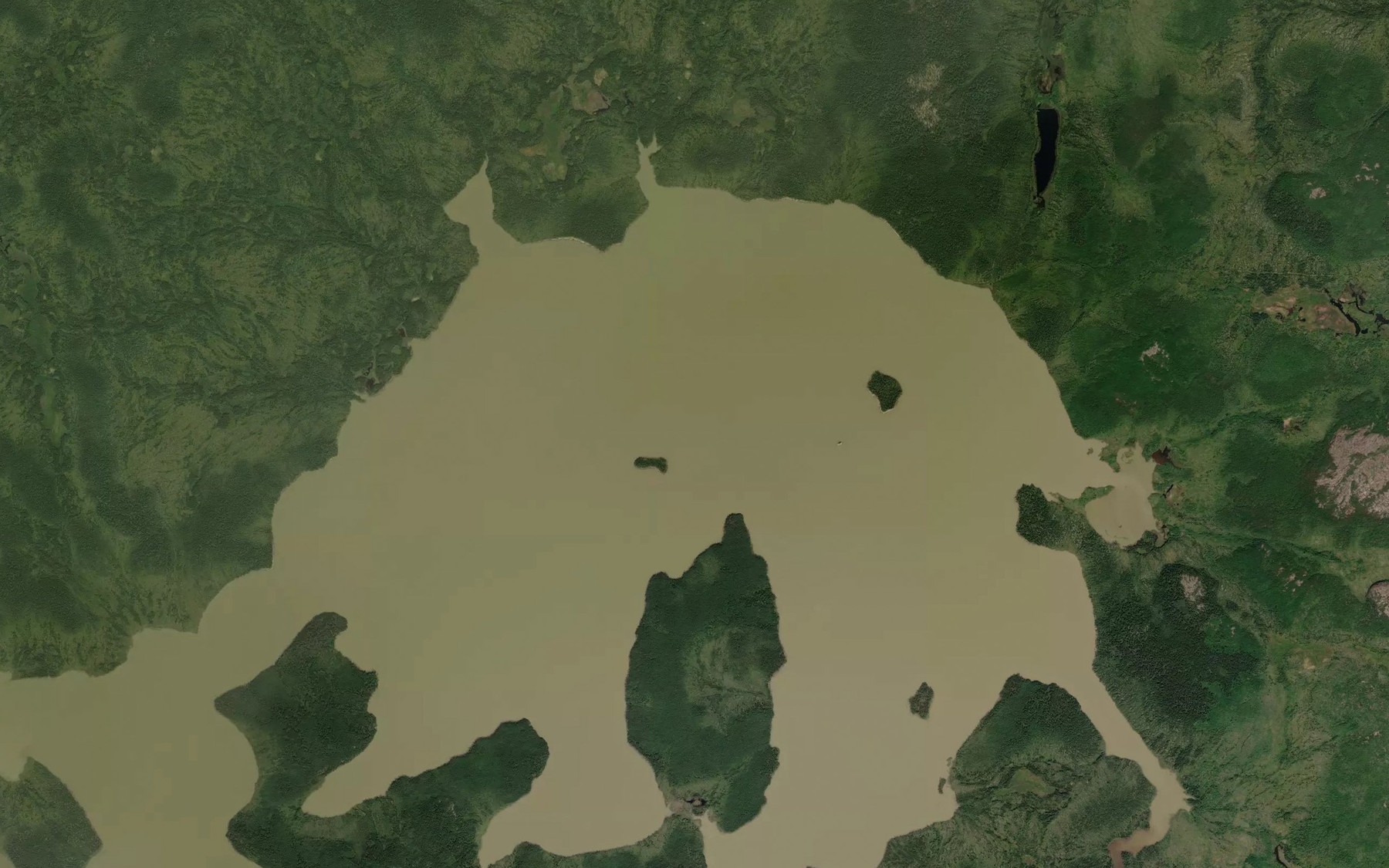 Satellite map of the Swan Bay