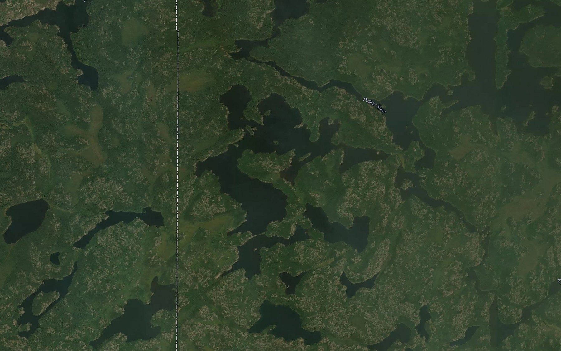 Satellite map of the Hamilton Lake