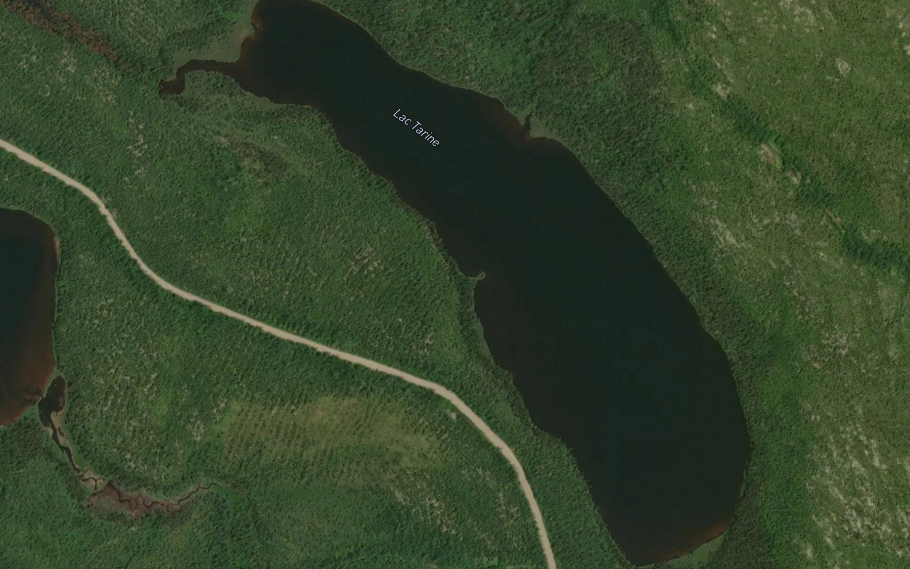Satellite map of the Lac Tarine