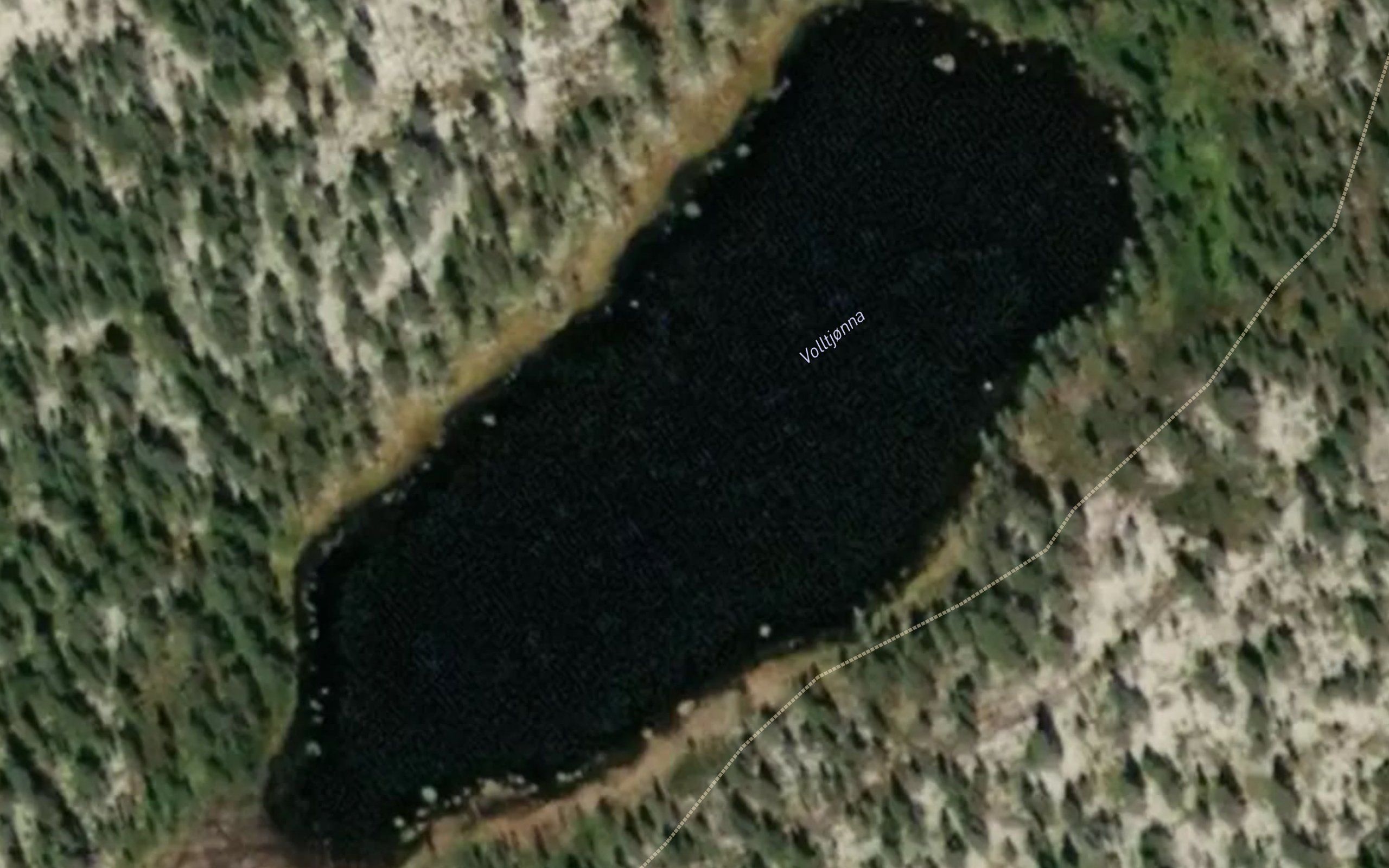 Volltjorna
