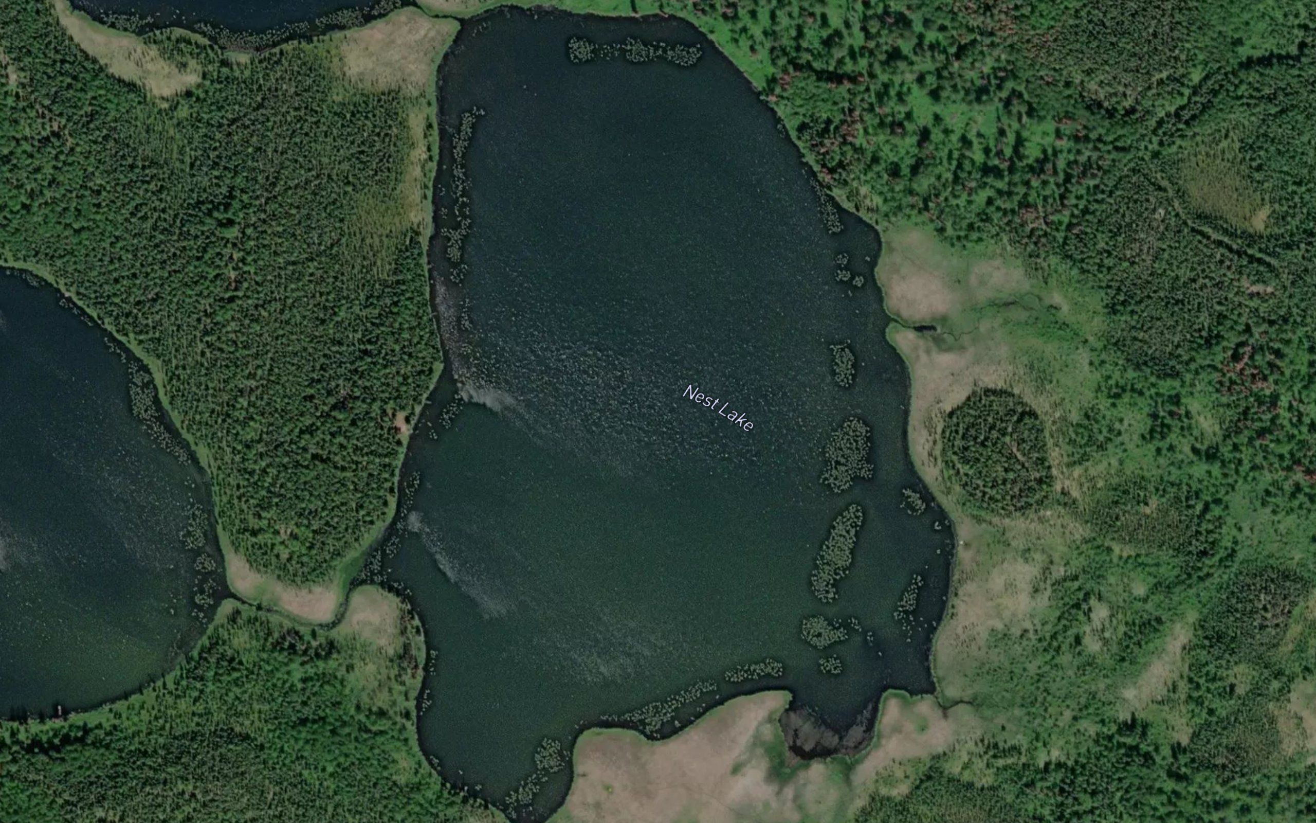 Nest Lake