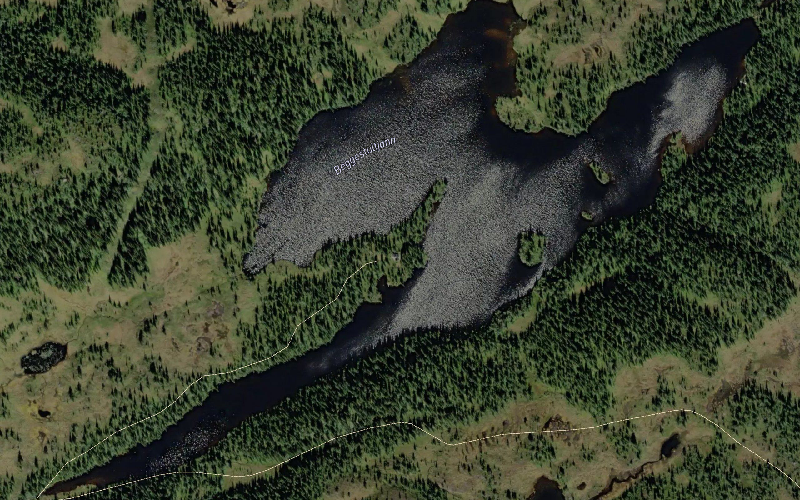Beggestultjonn